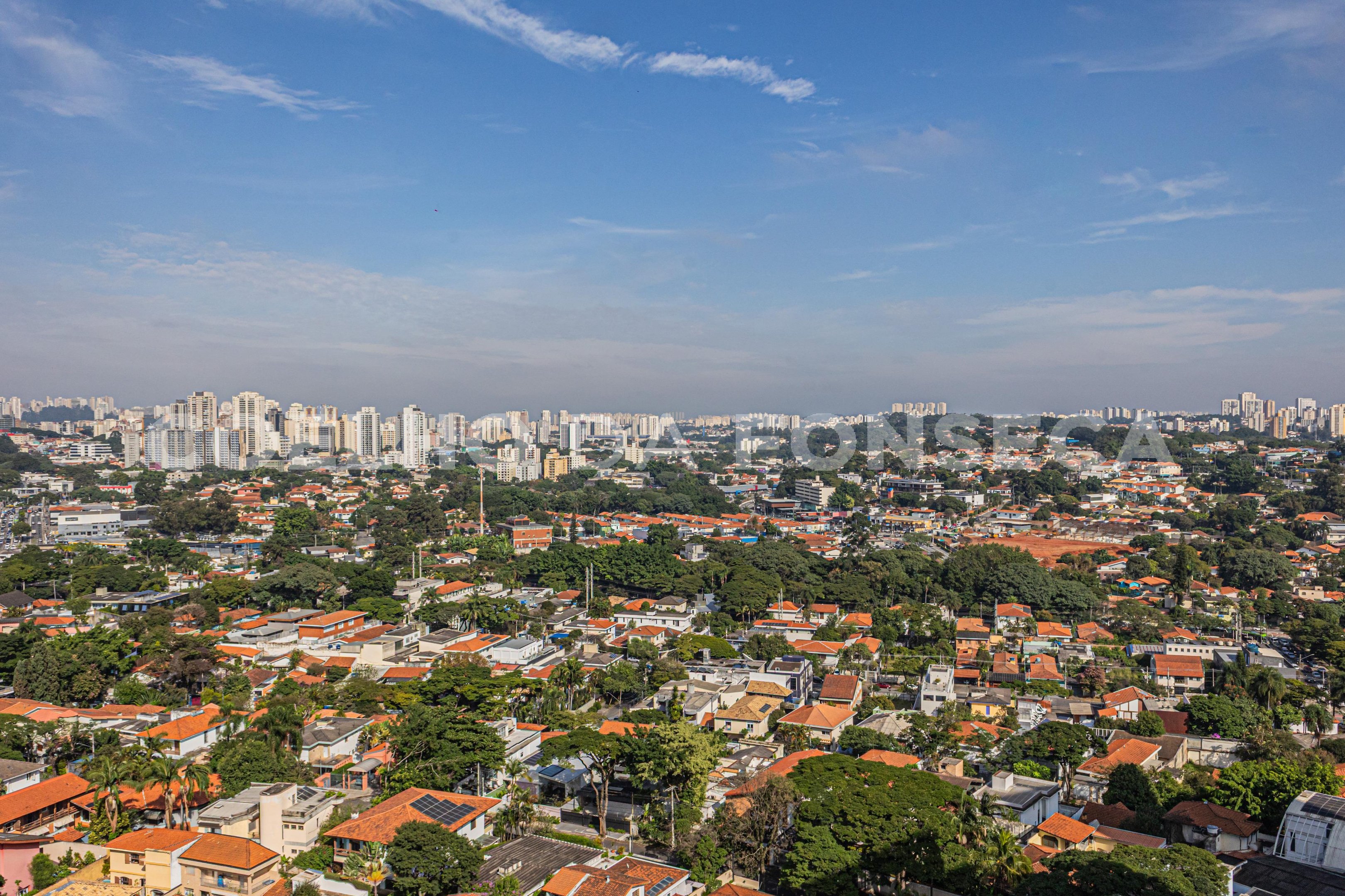 Vista