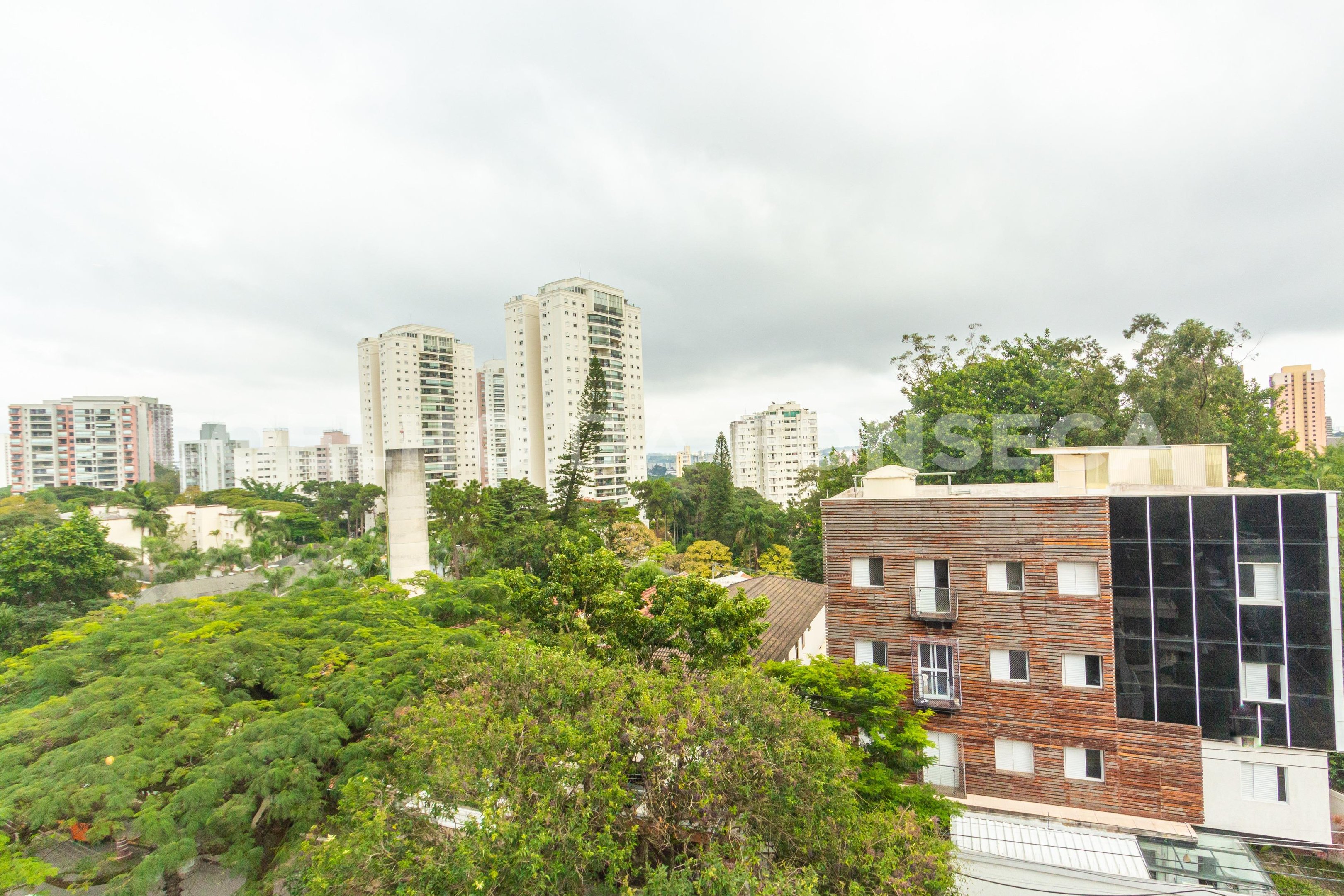 Vista