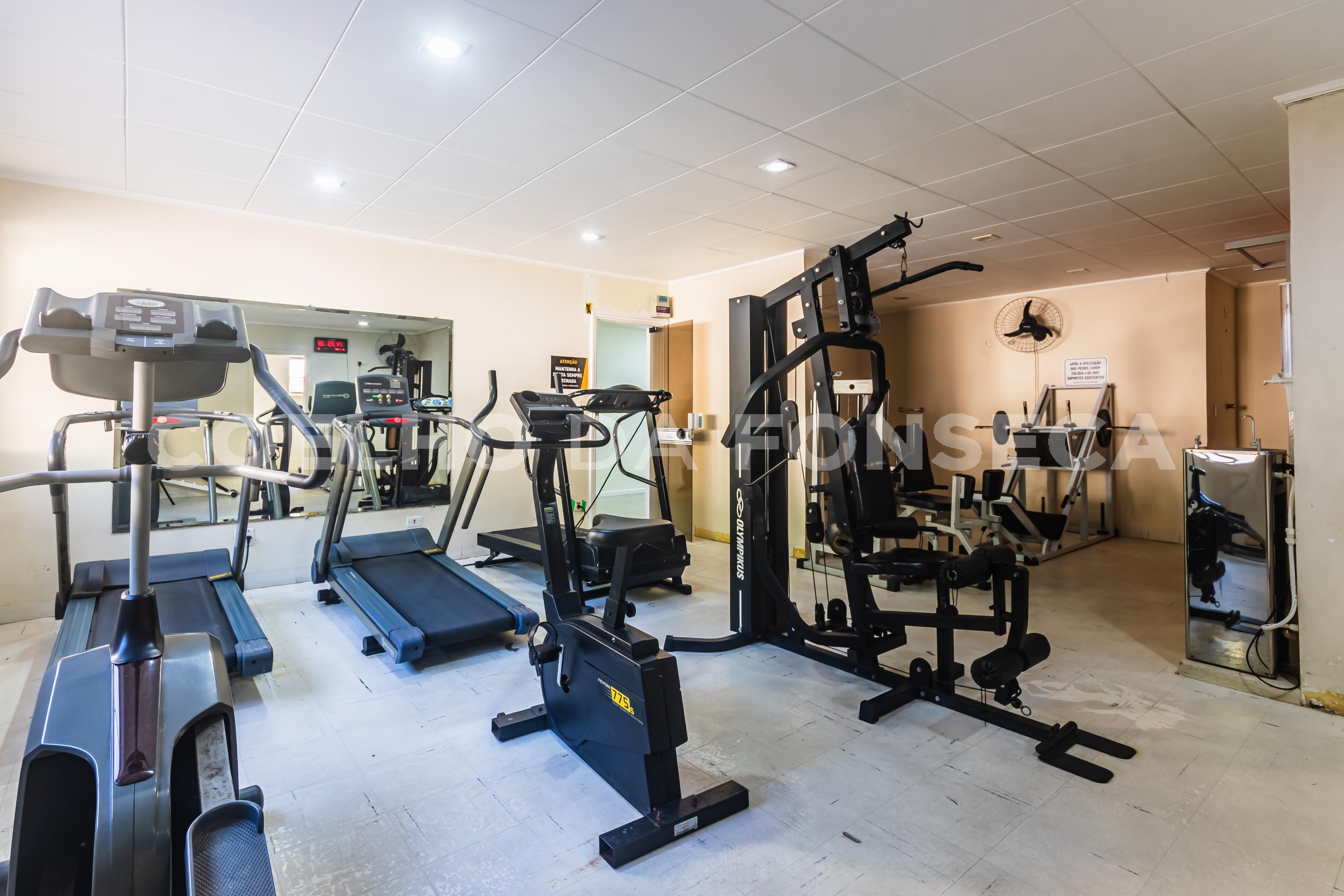 Fitness