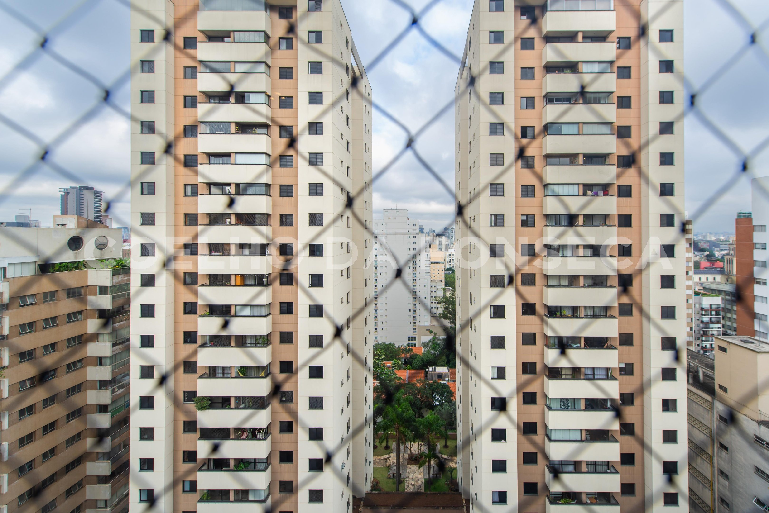 Vista