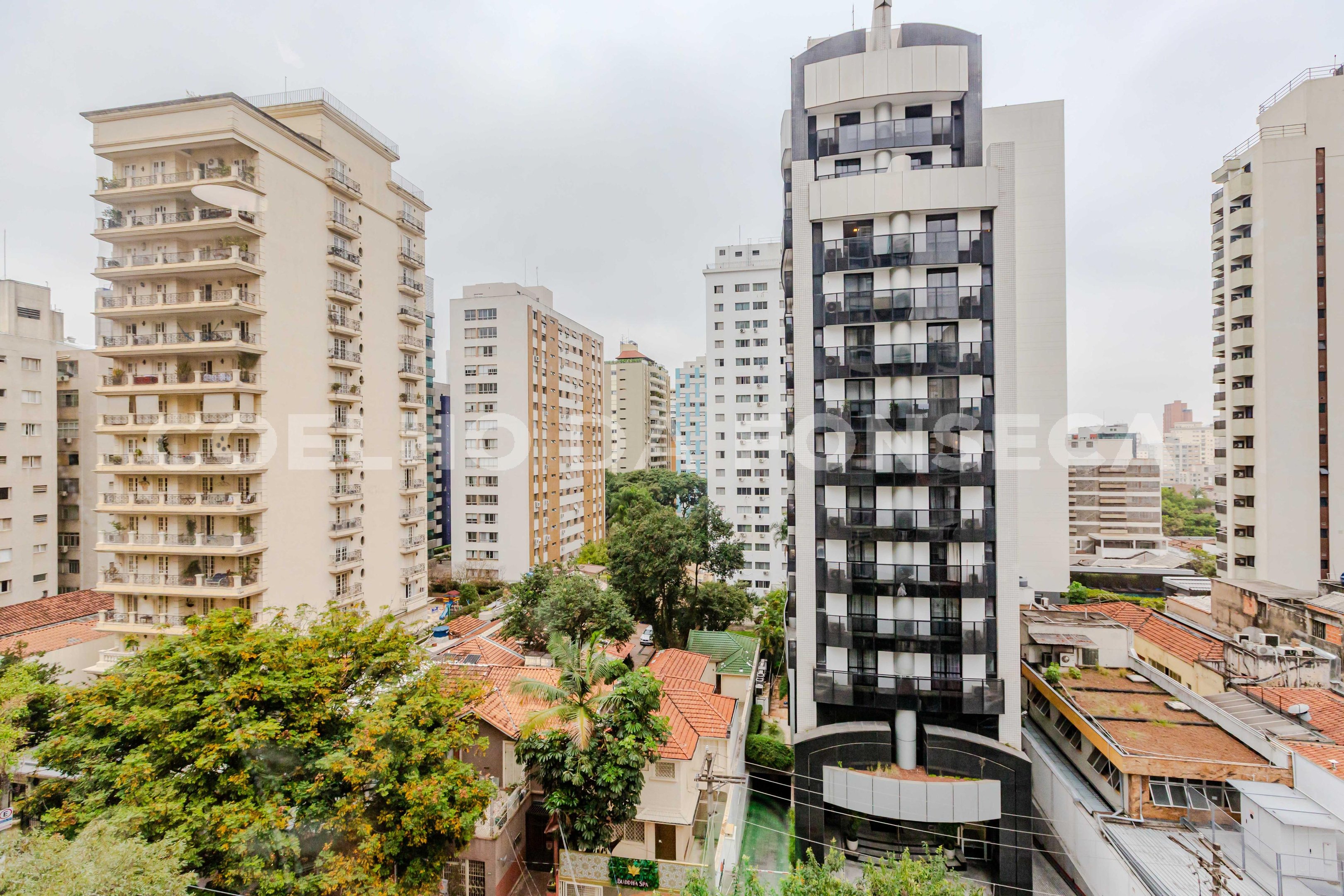 Vista
