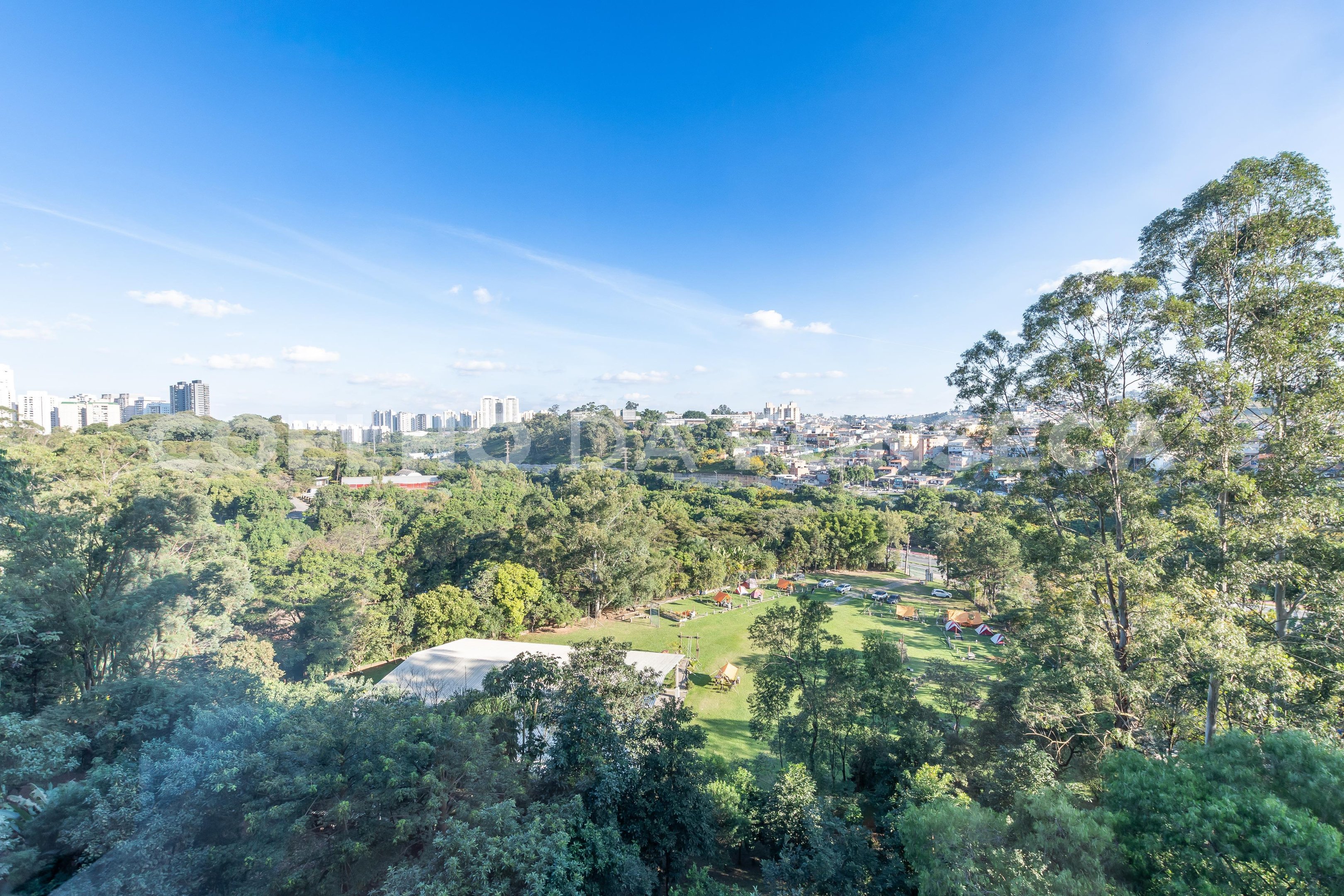 Vista