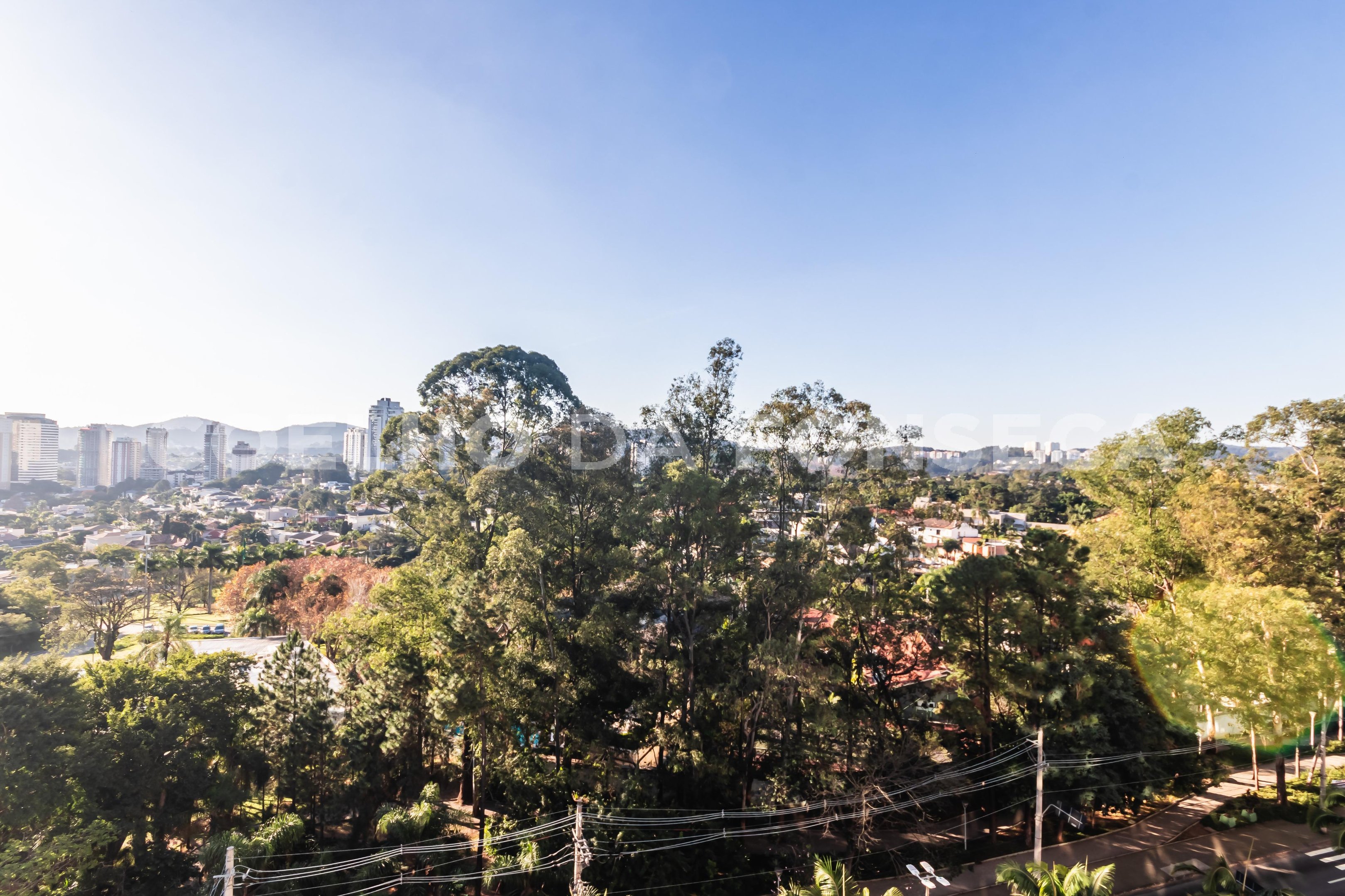 Vista
