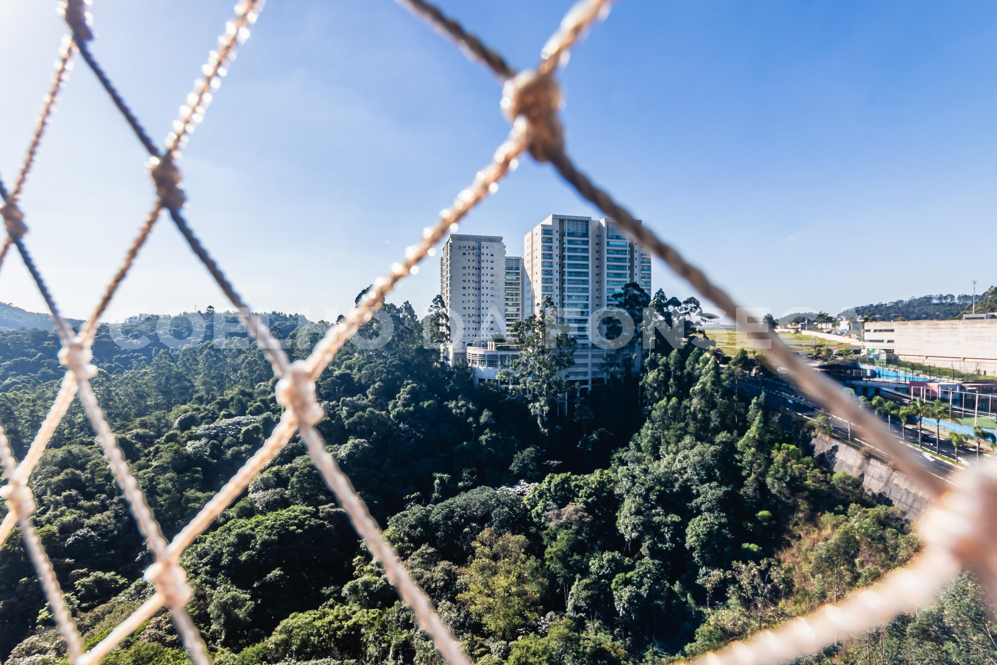 Vista