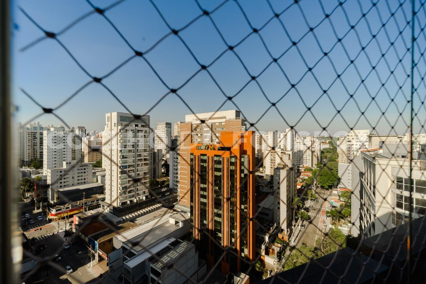 Vista