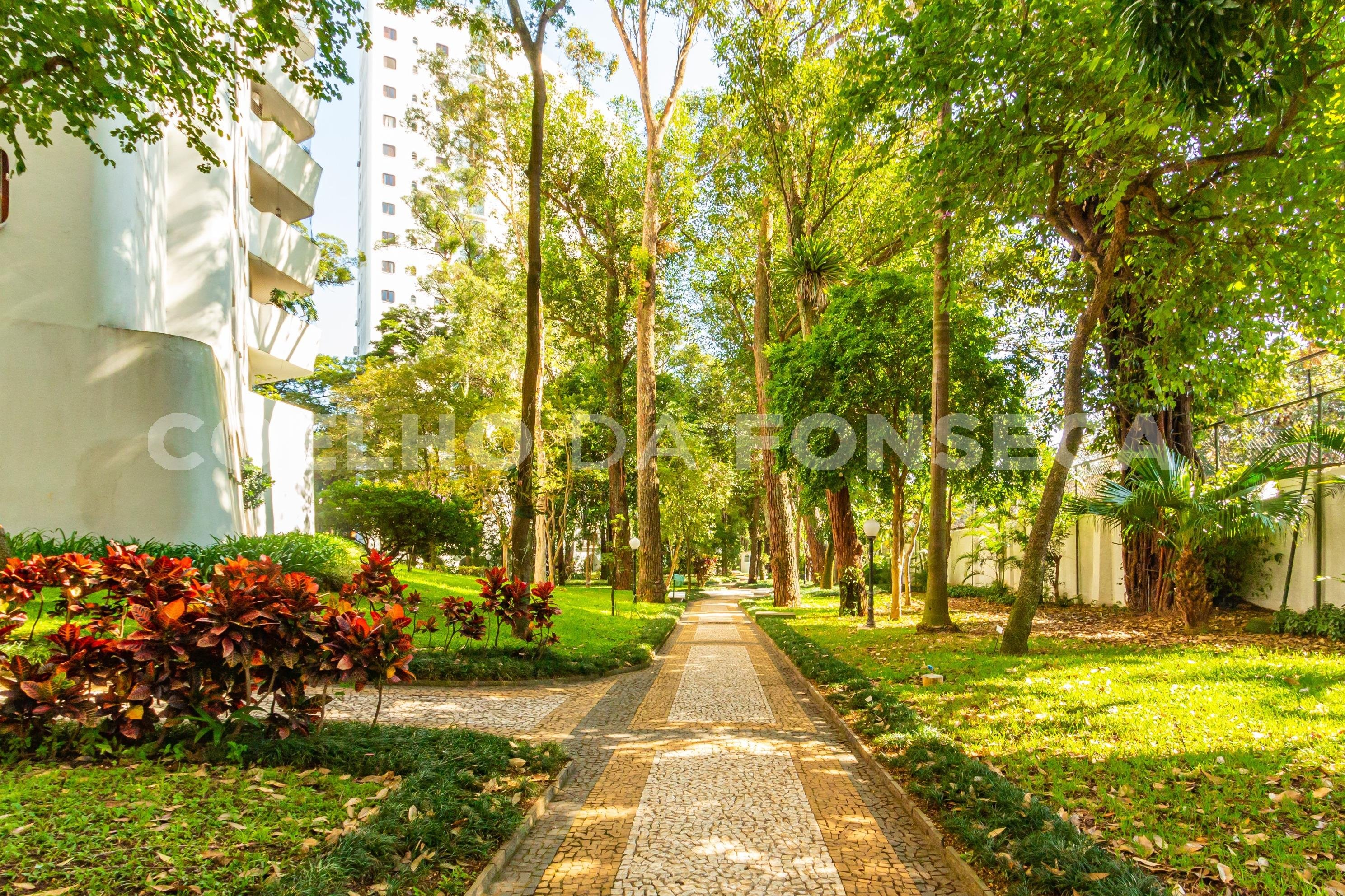 Jardim