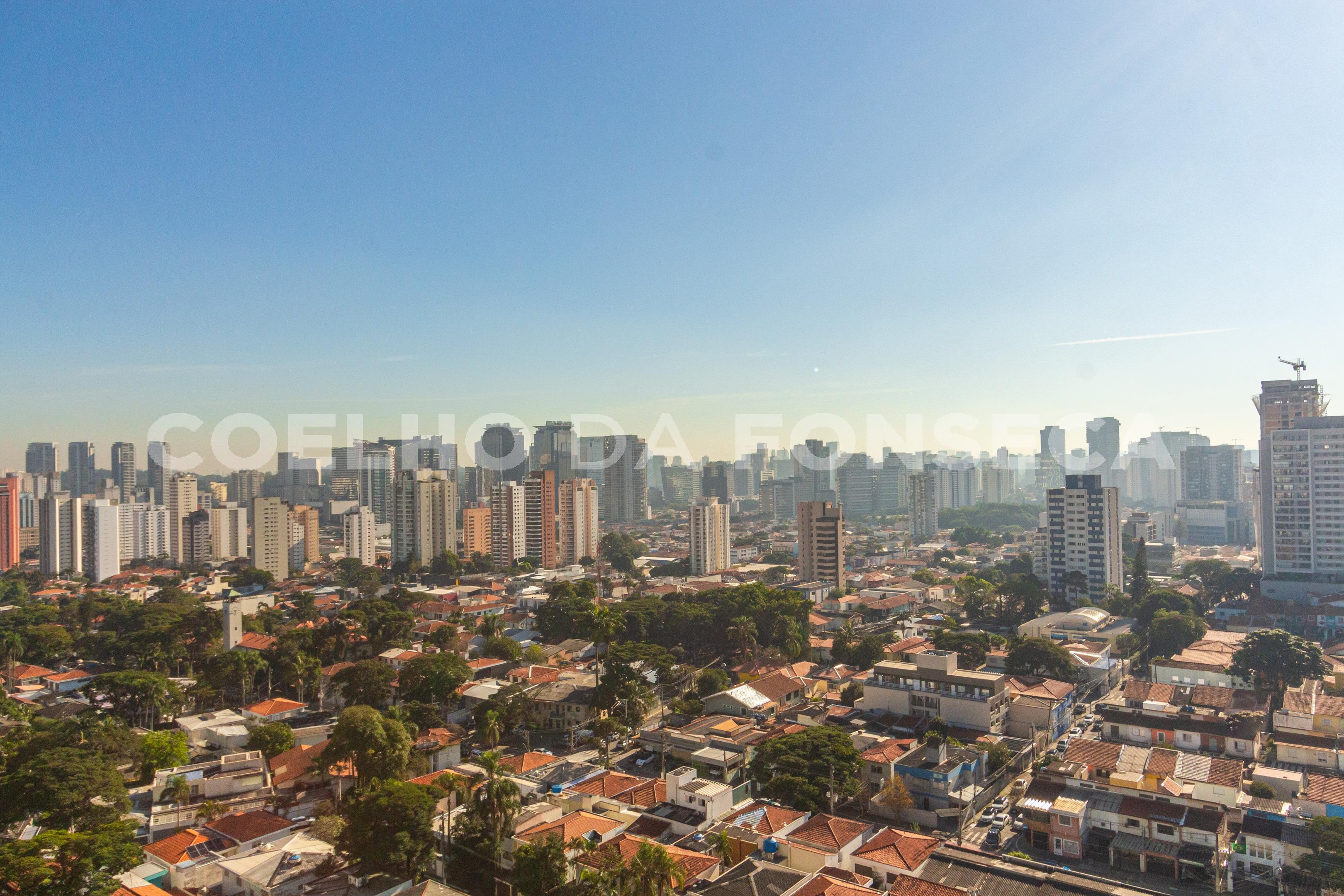 Vista