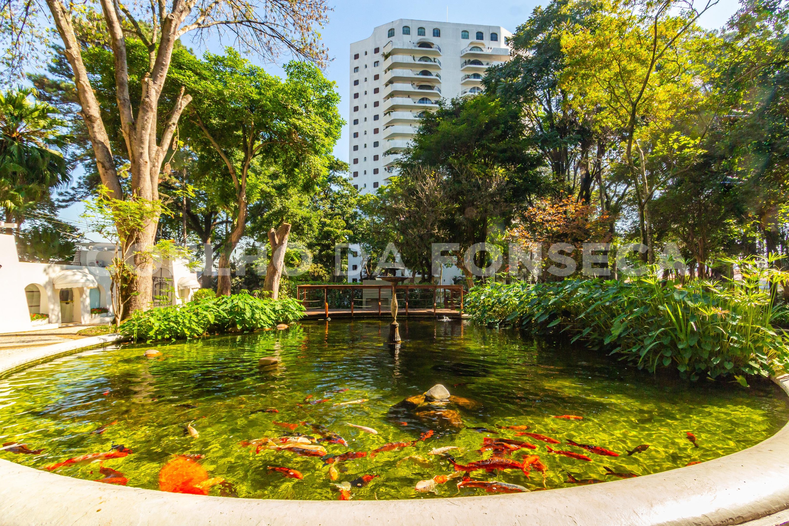 Jardim
