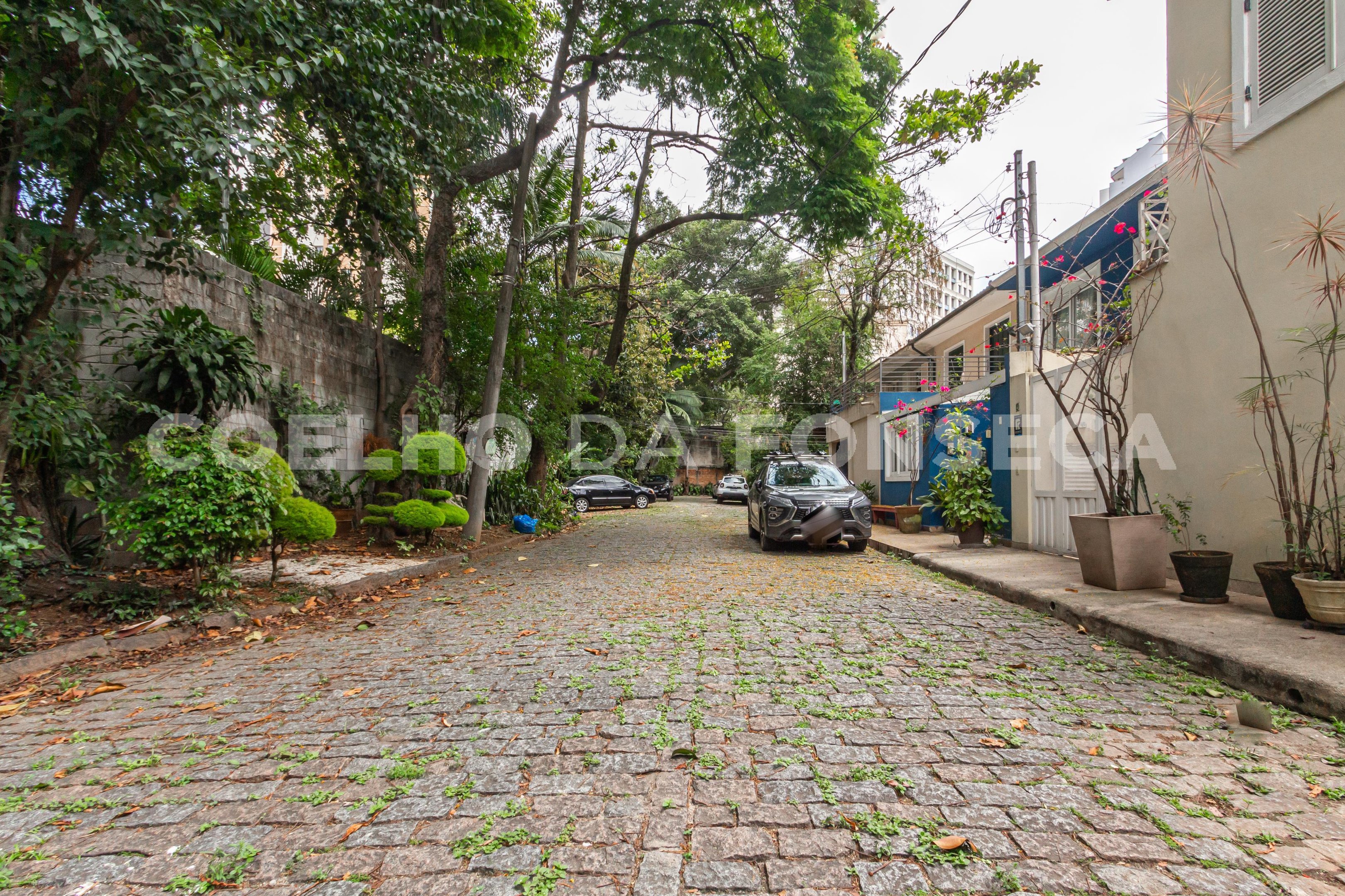 Rua