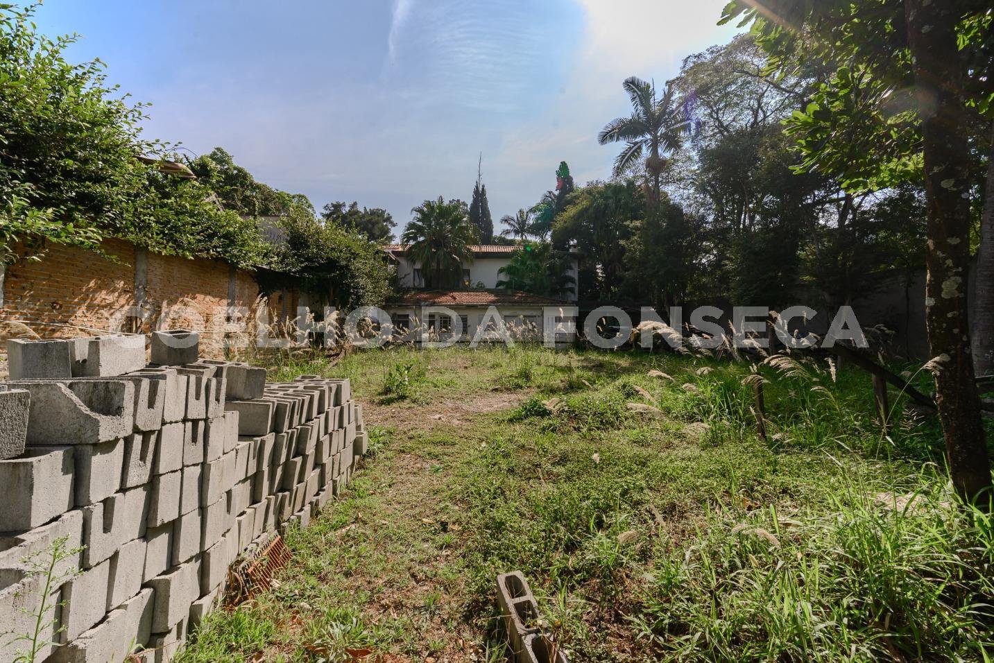 Terreno