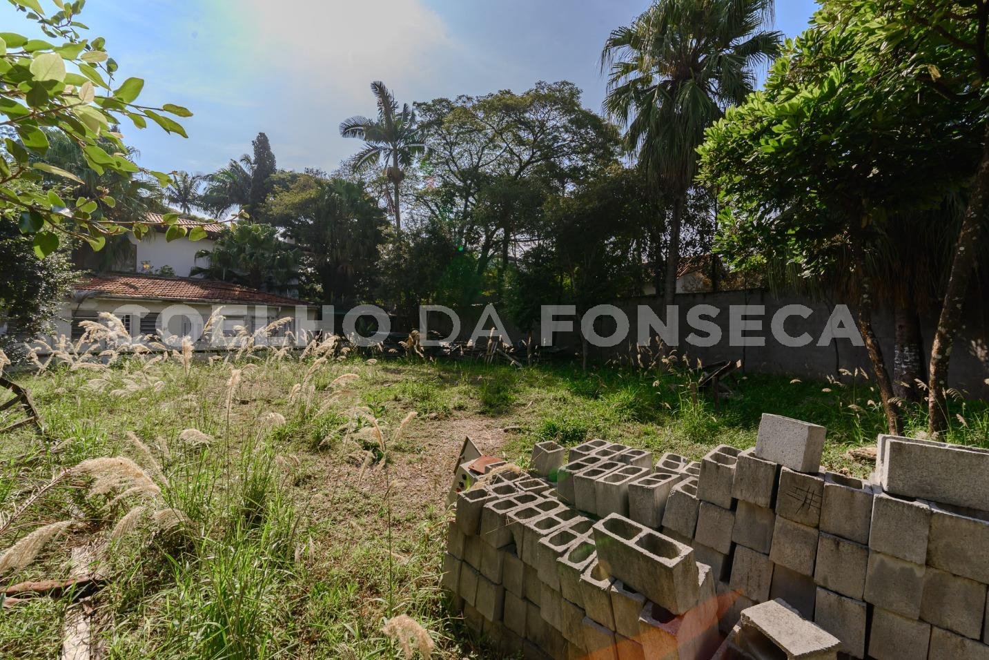 Terreno