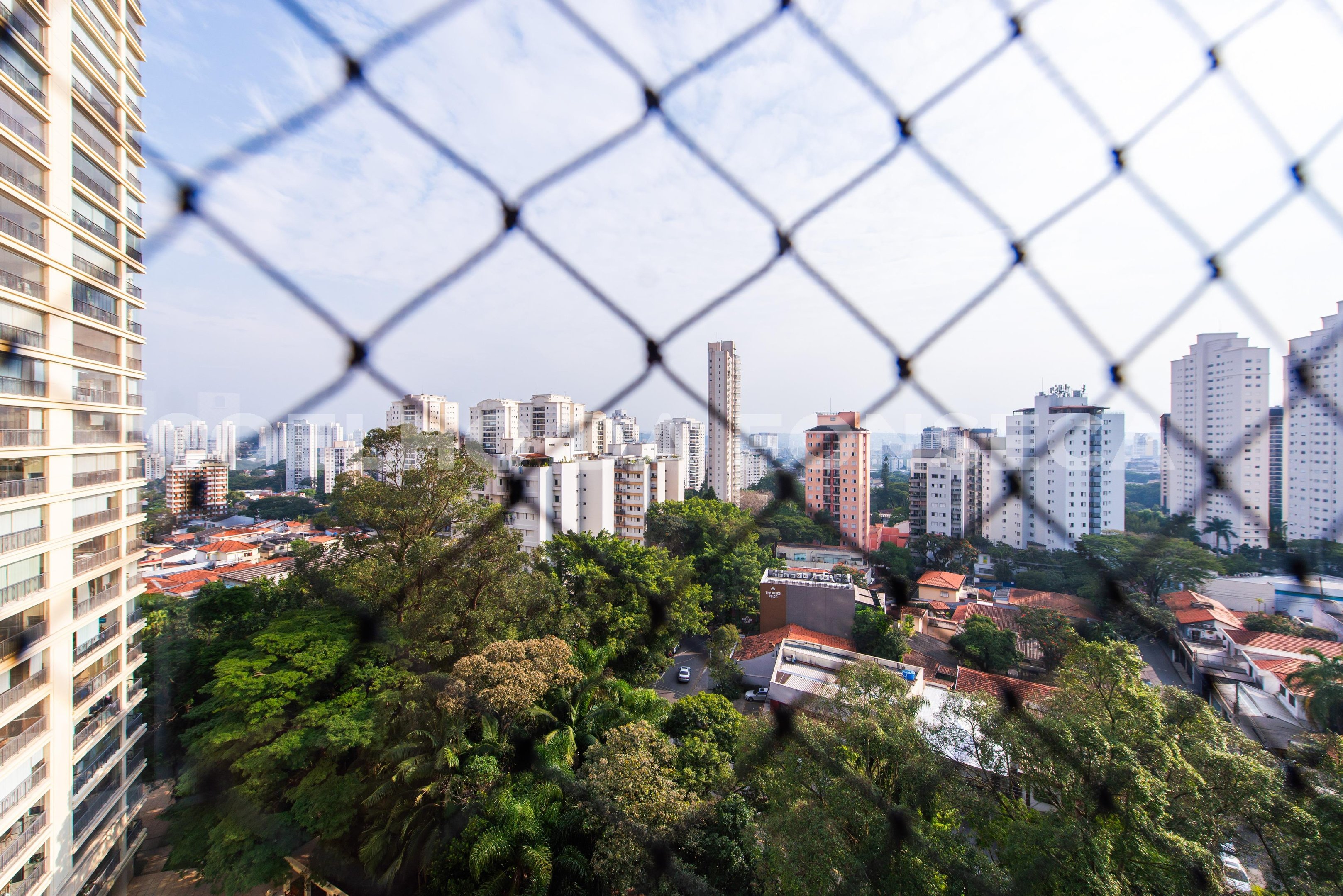 Vista