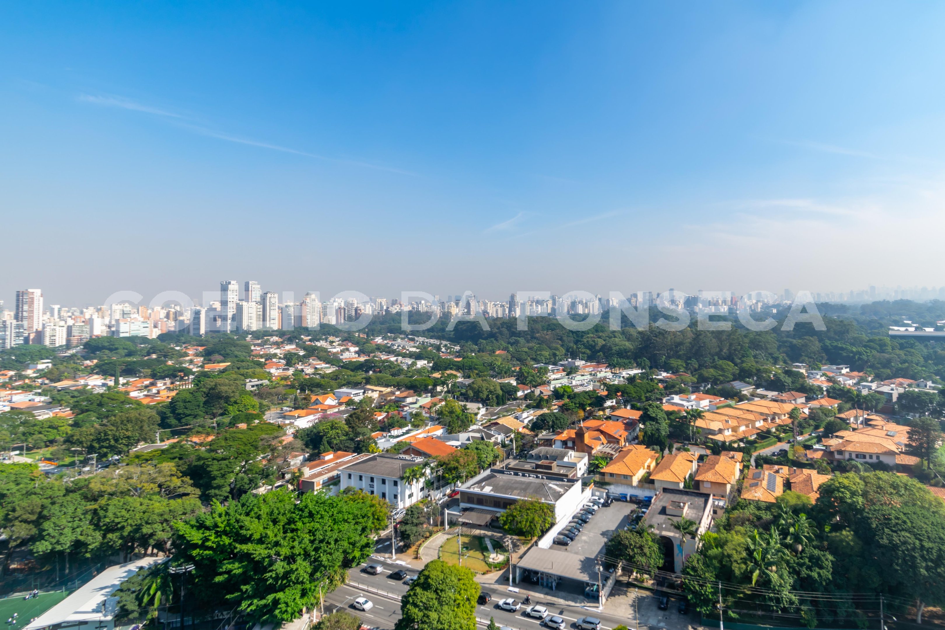 Vista