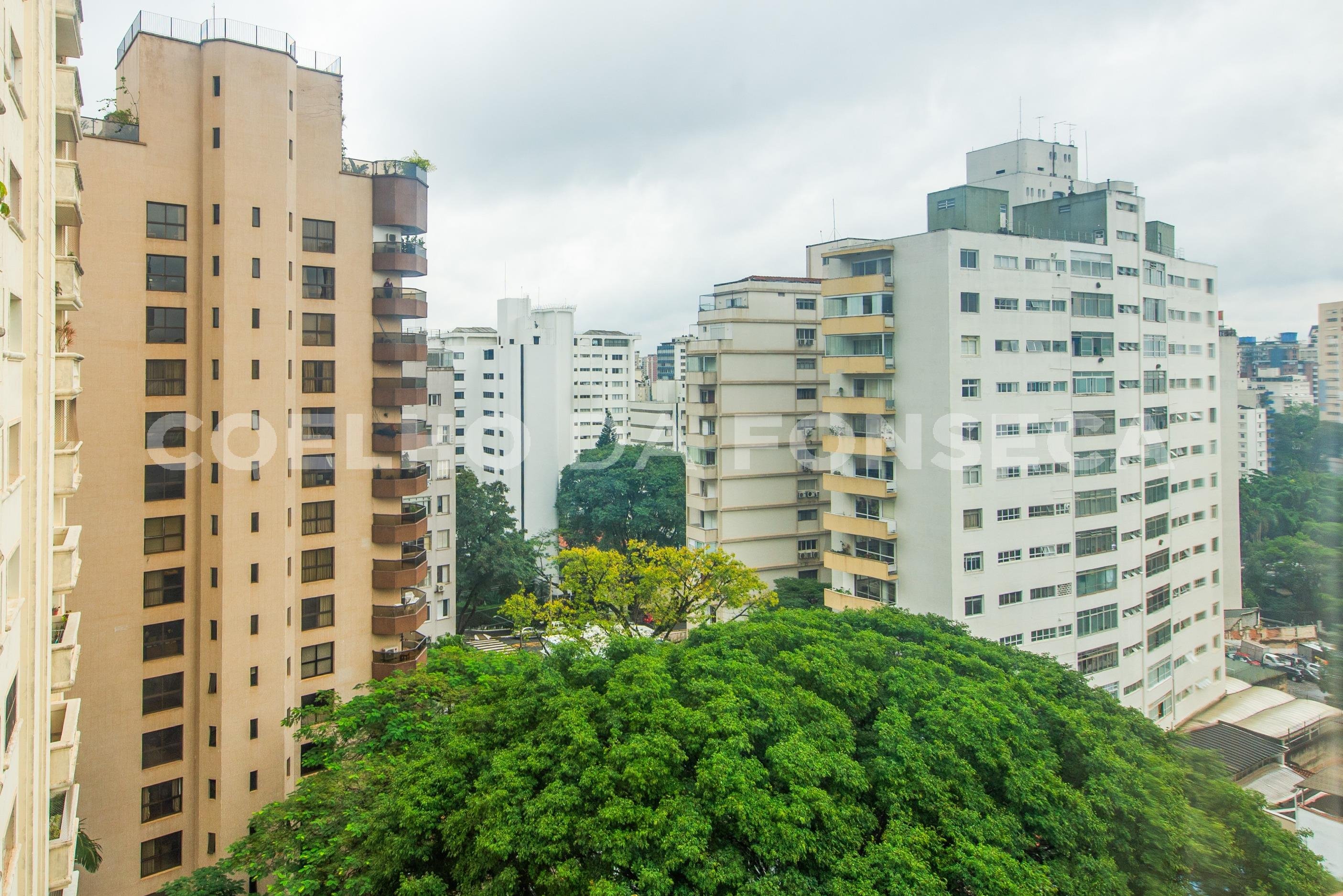 Vista