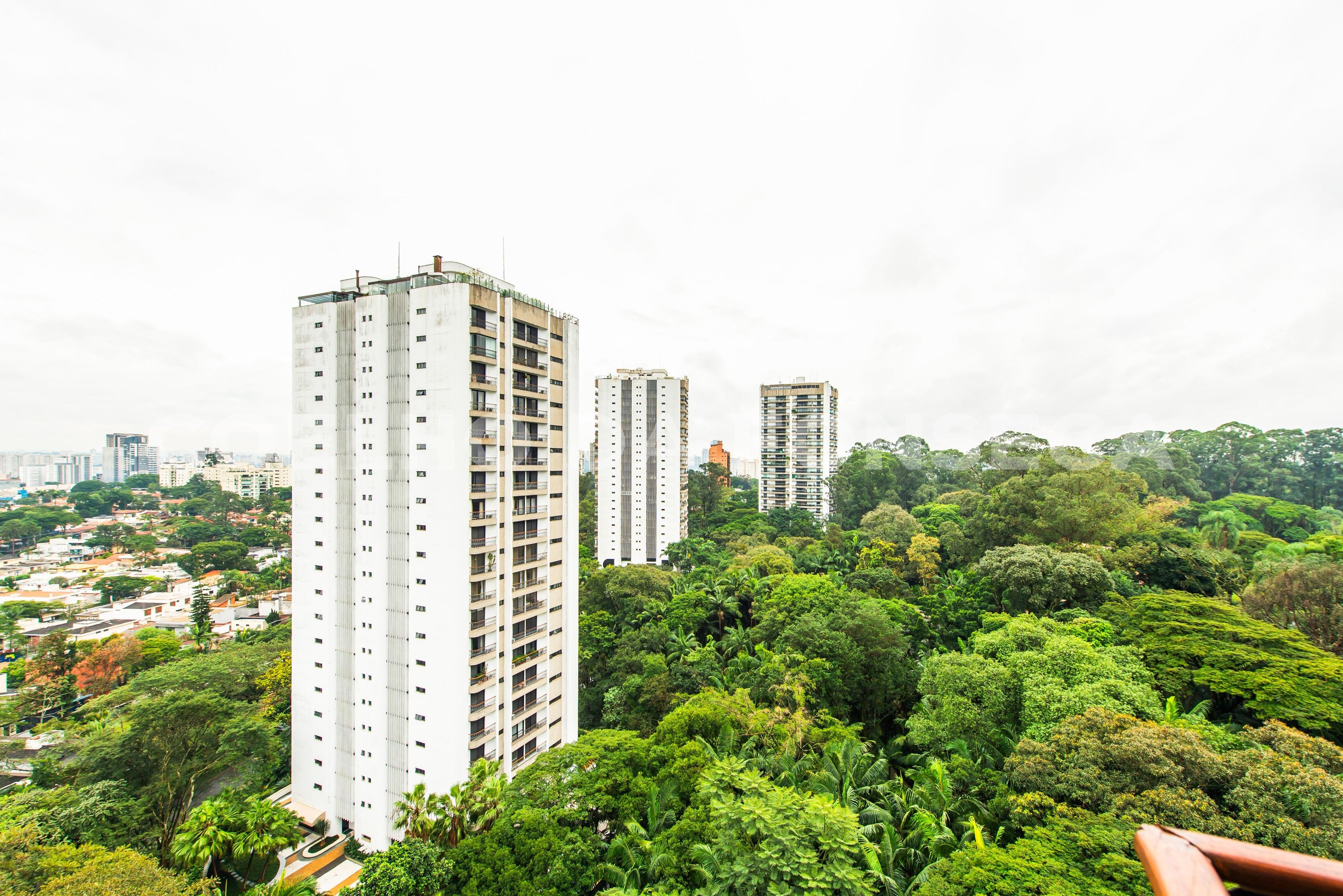 Vista