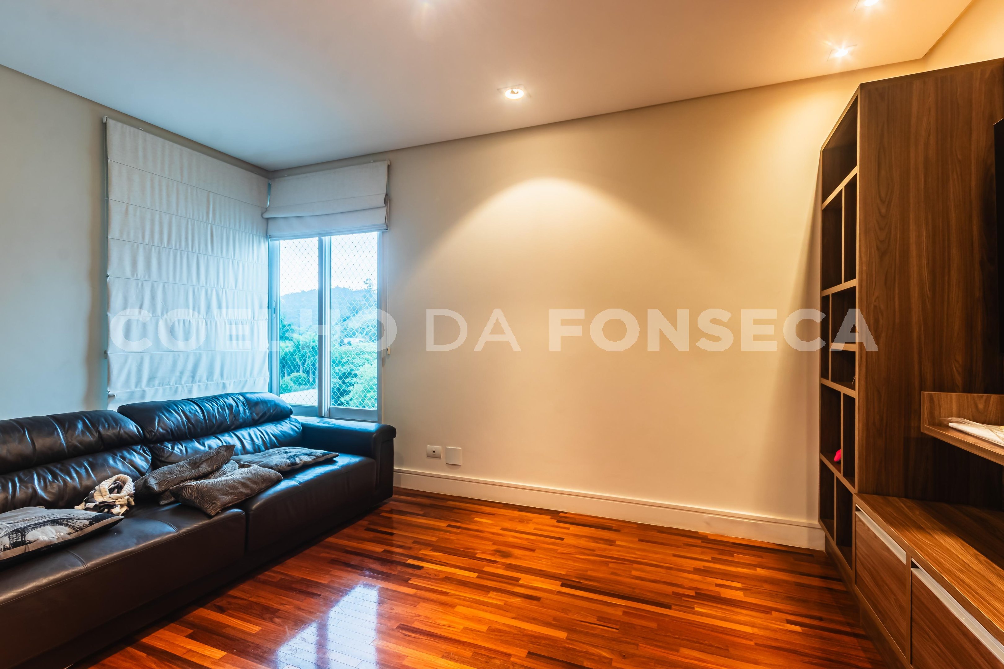 Home Theater