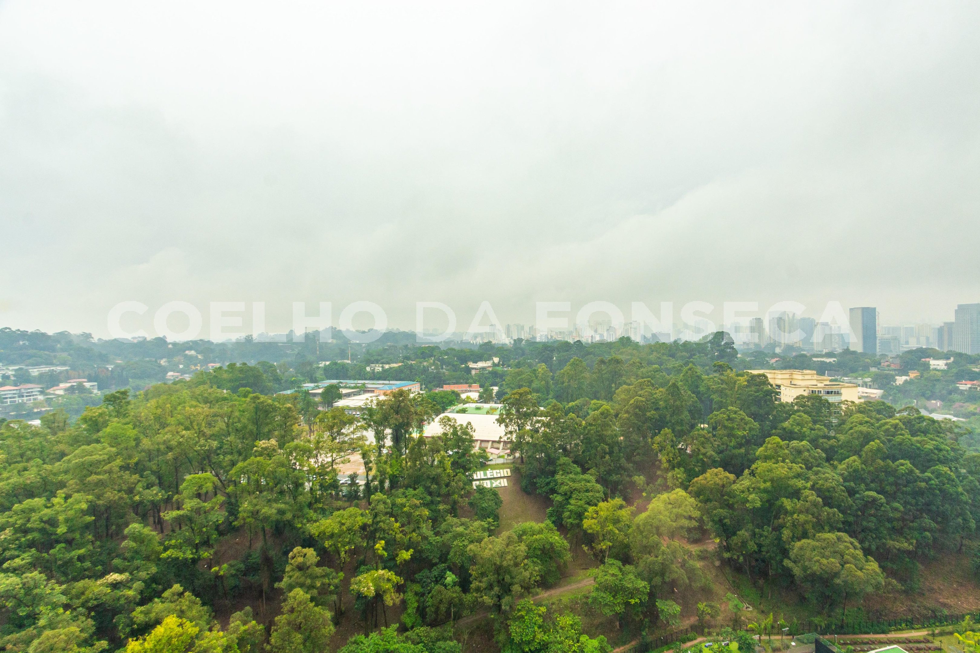Vista
