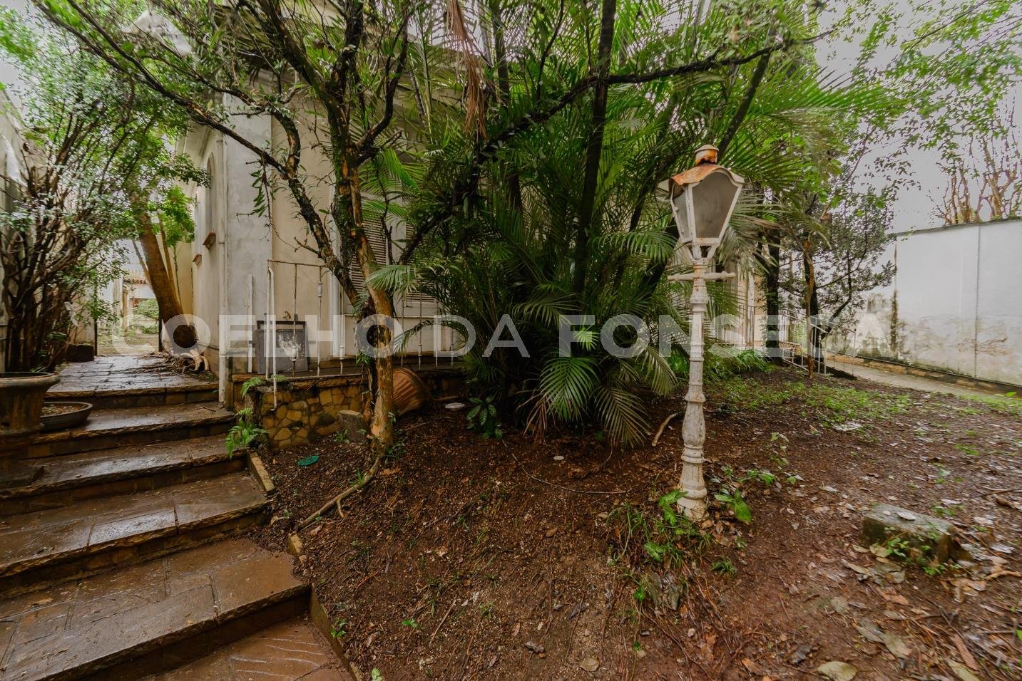 Jardim