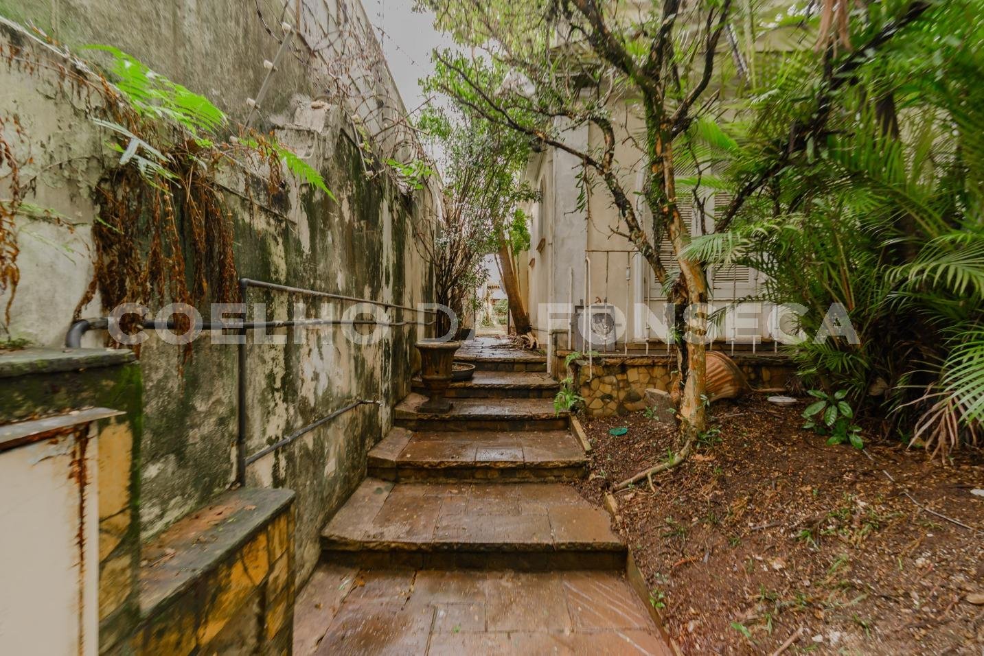 Jardim