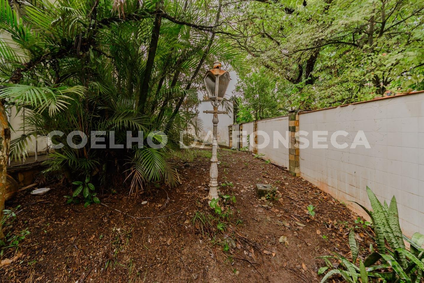 Jardim