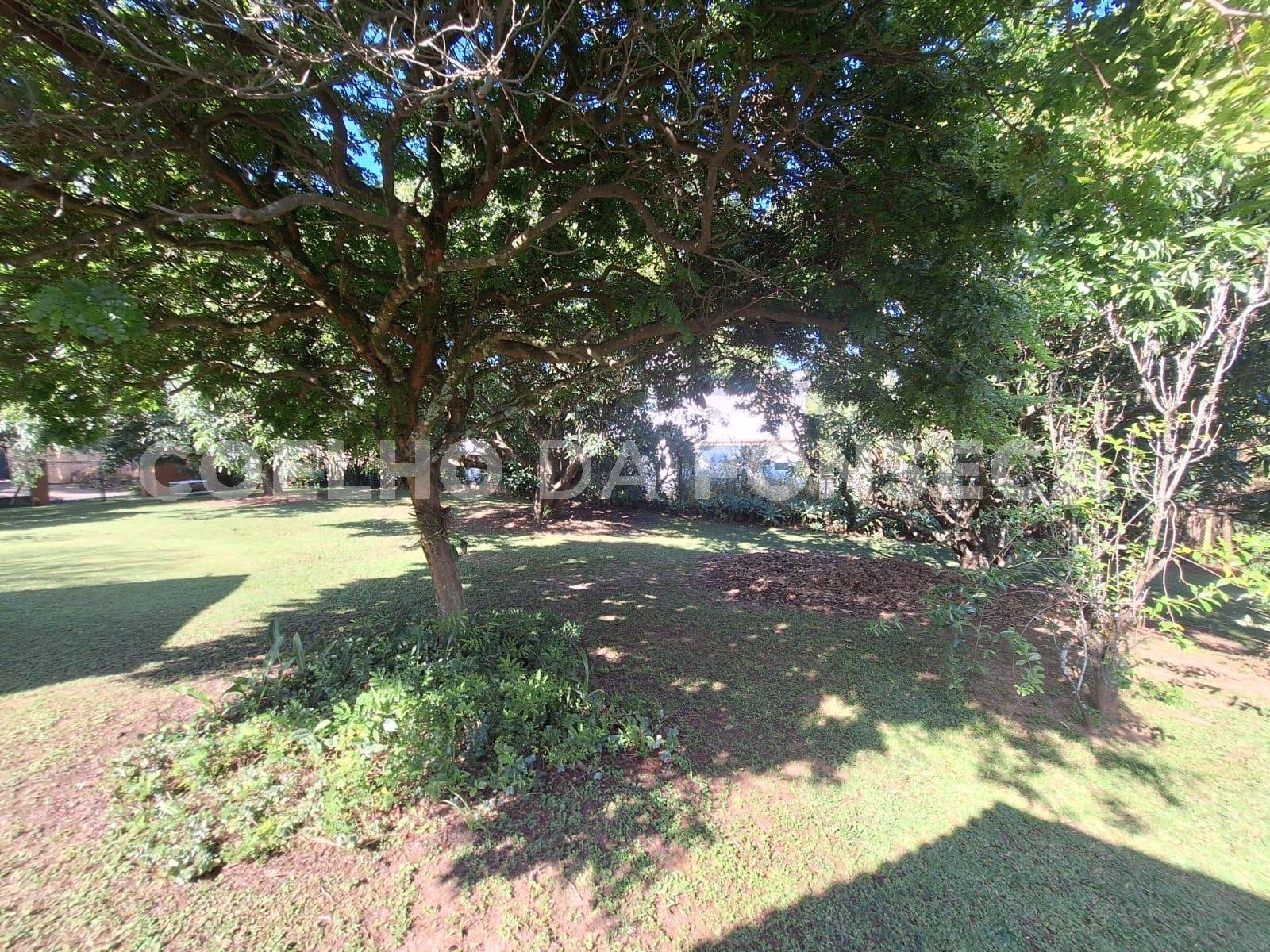 Jardim
