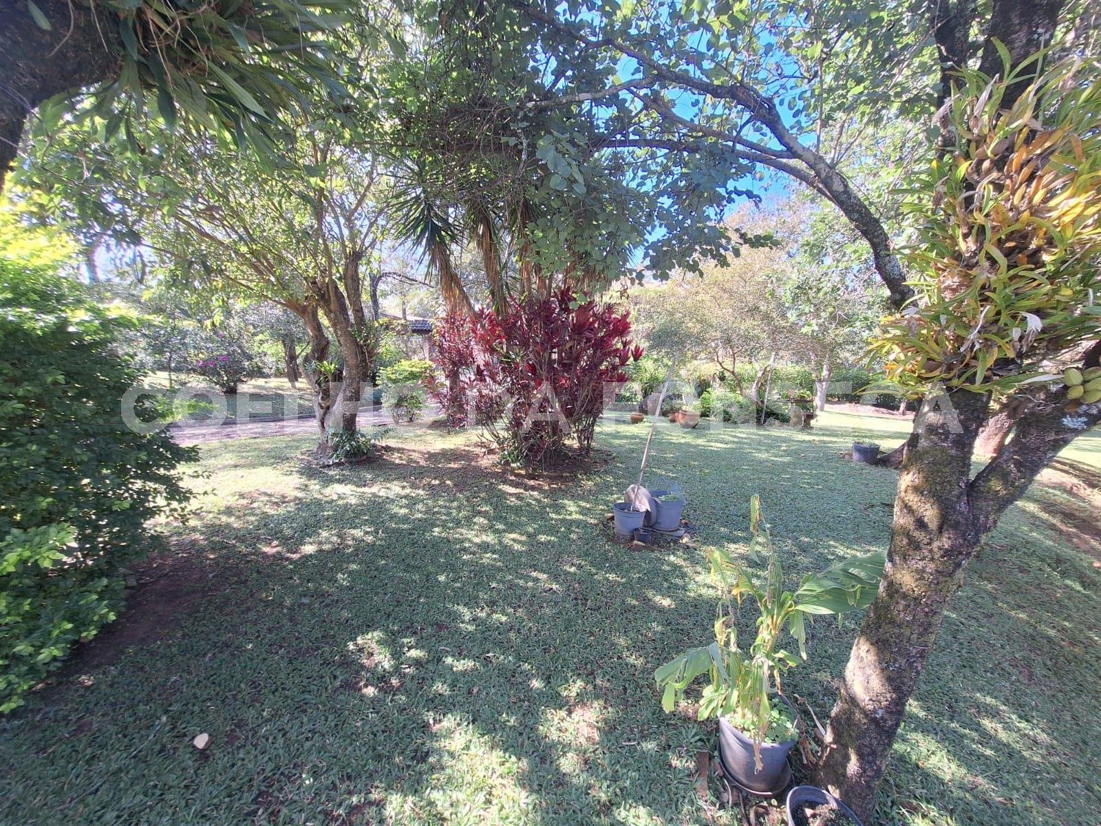 Jardim