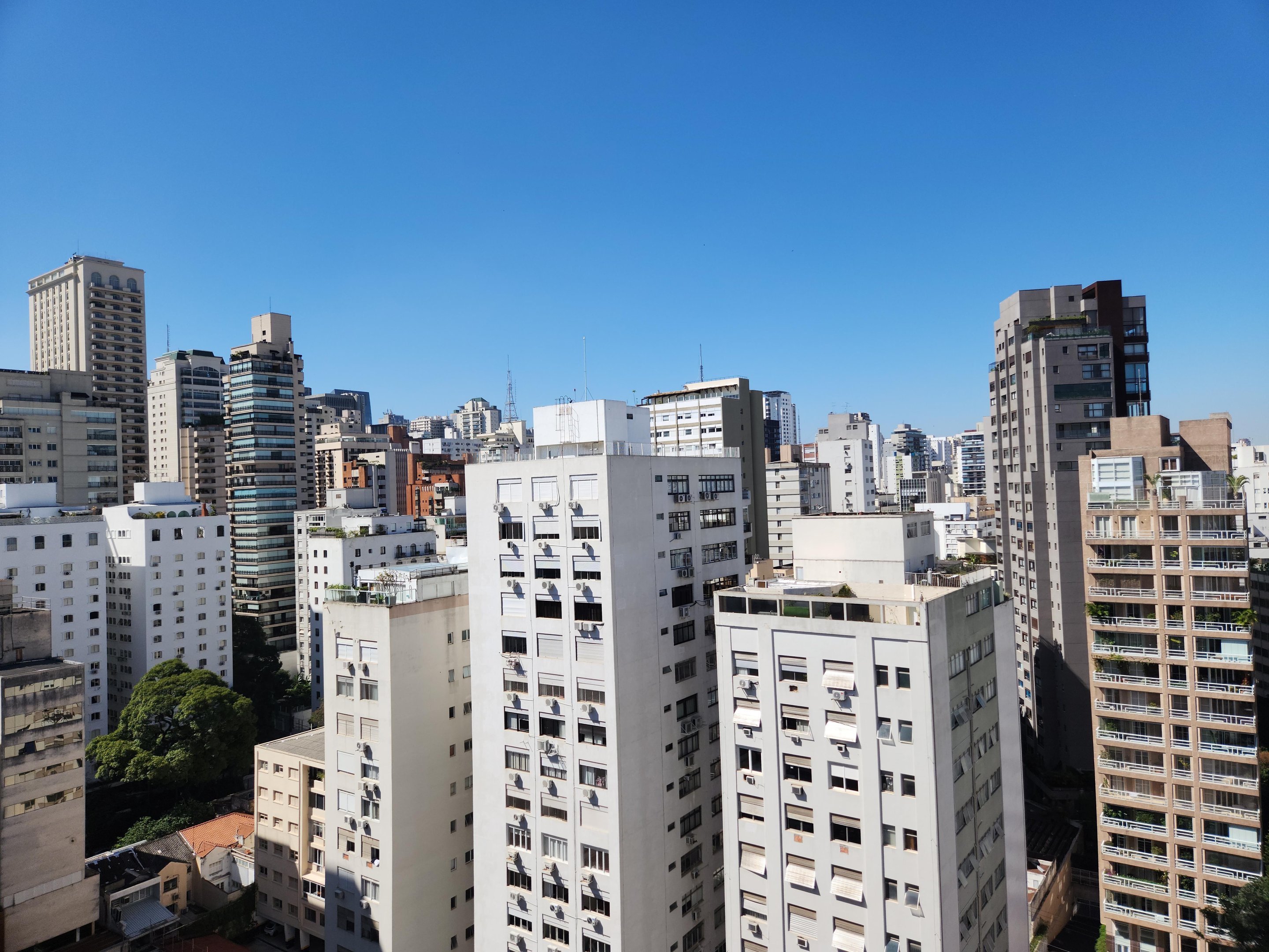 Vista