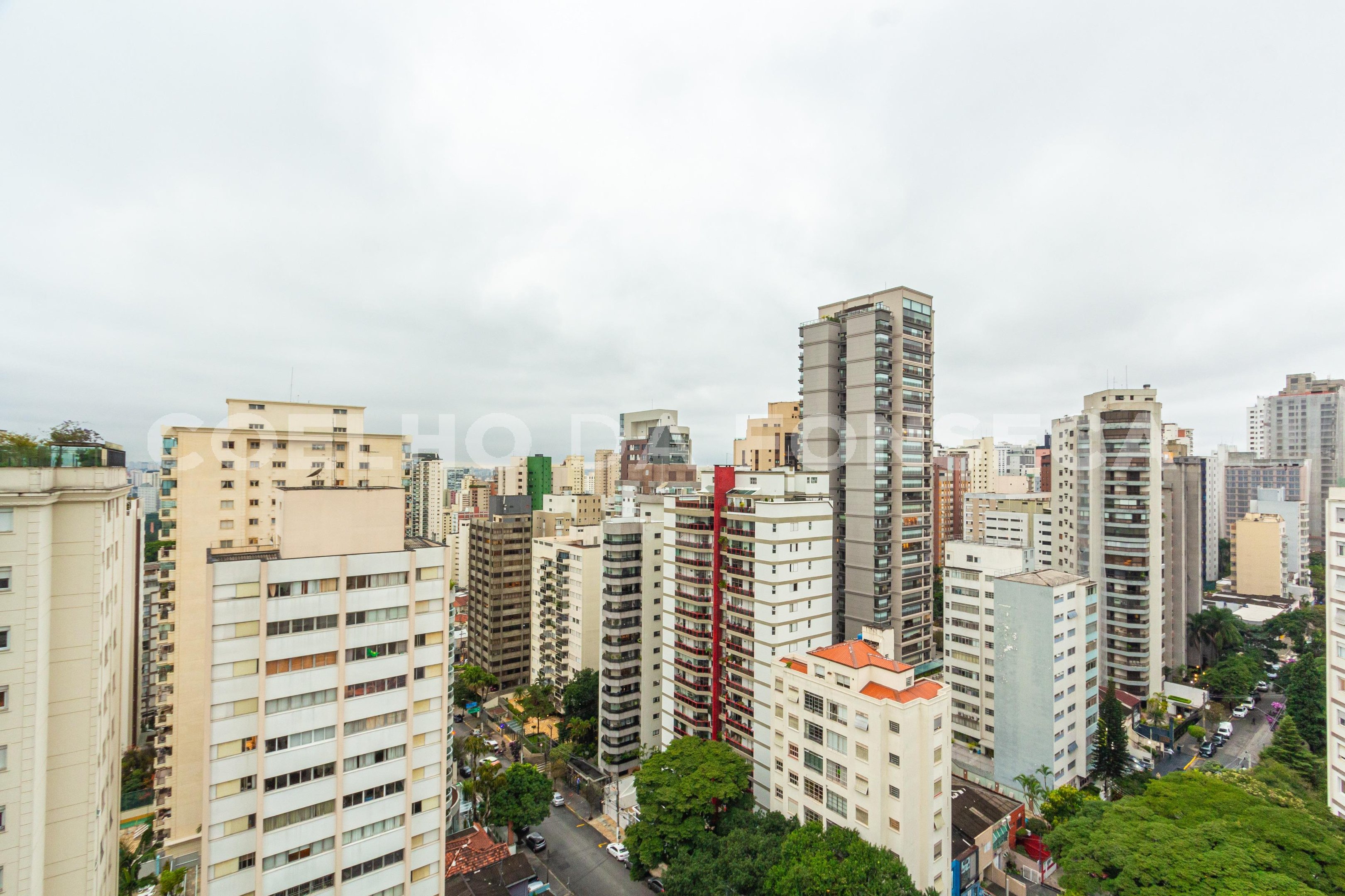 Vista