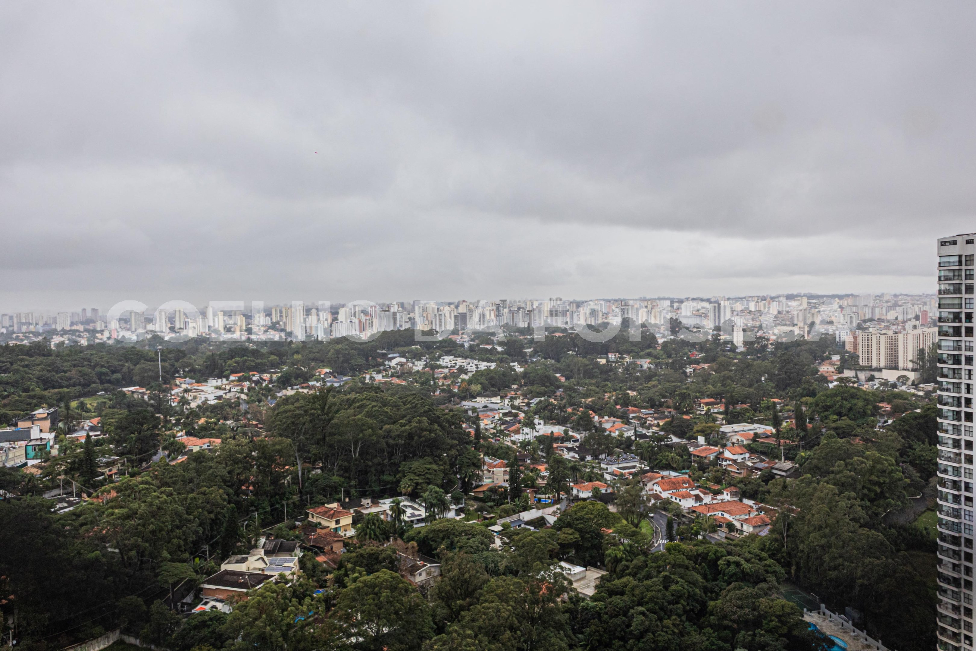 Vista