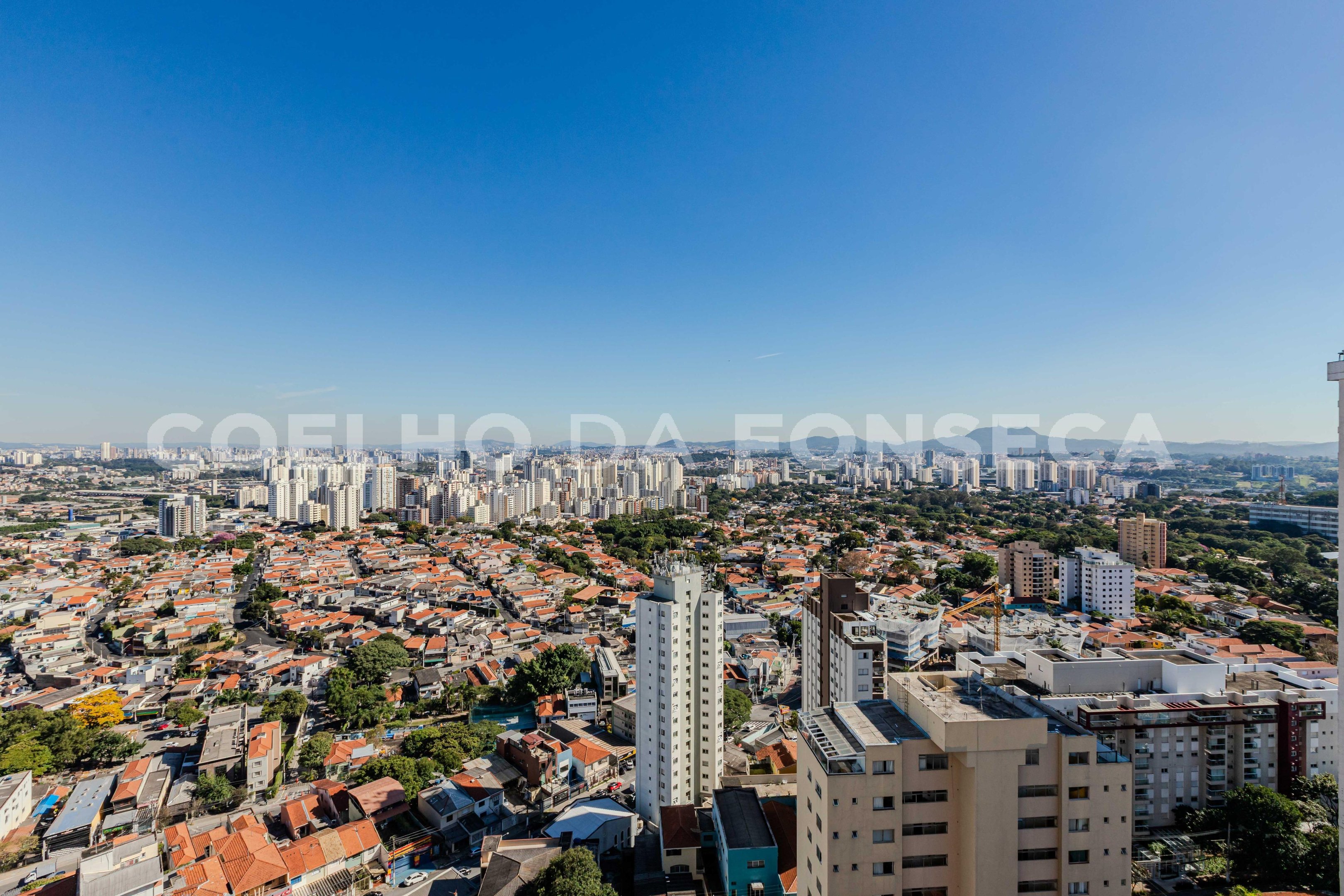 Vista