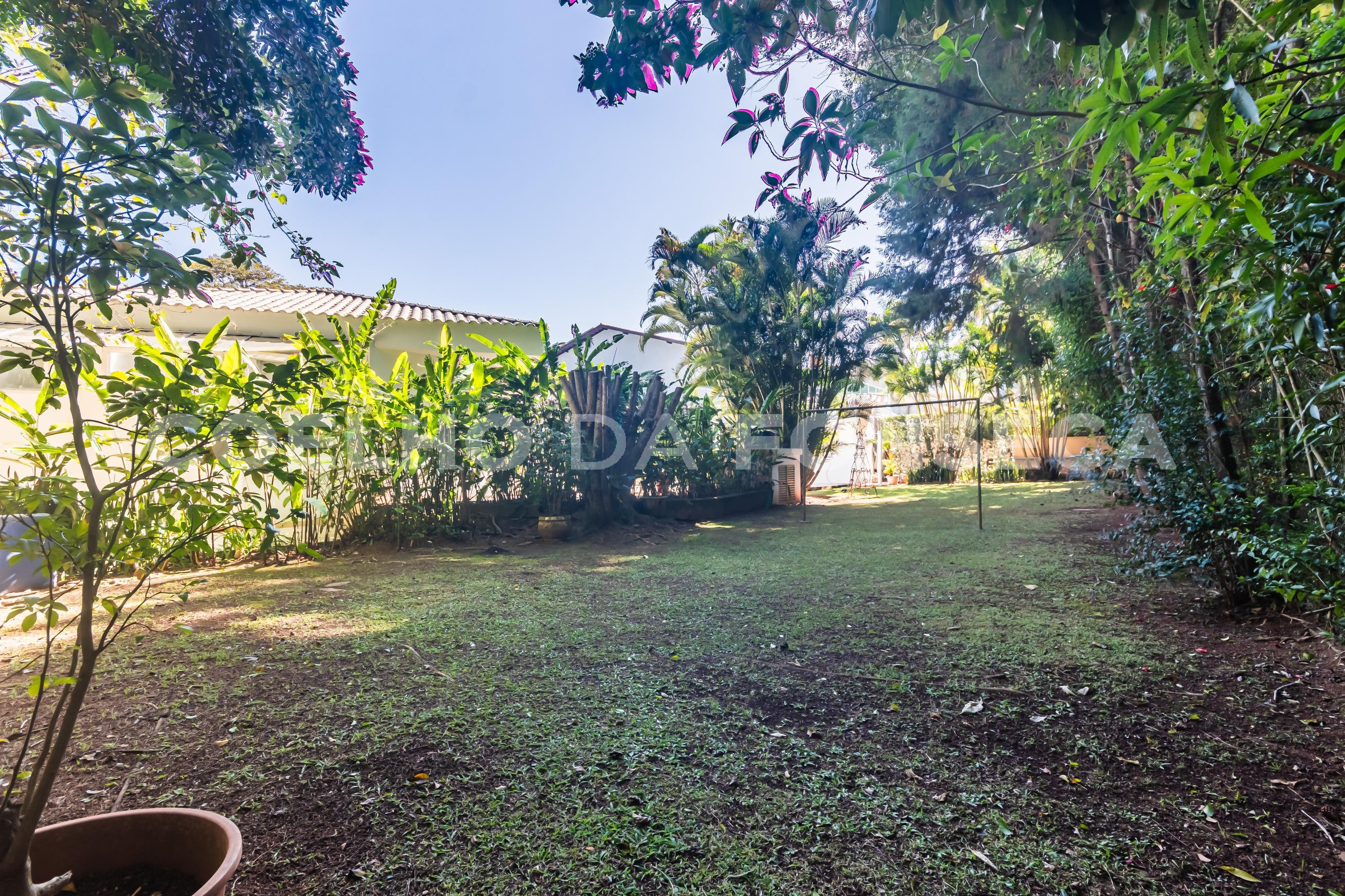 Jardim