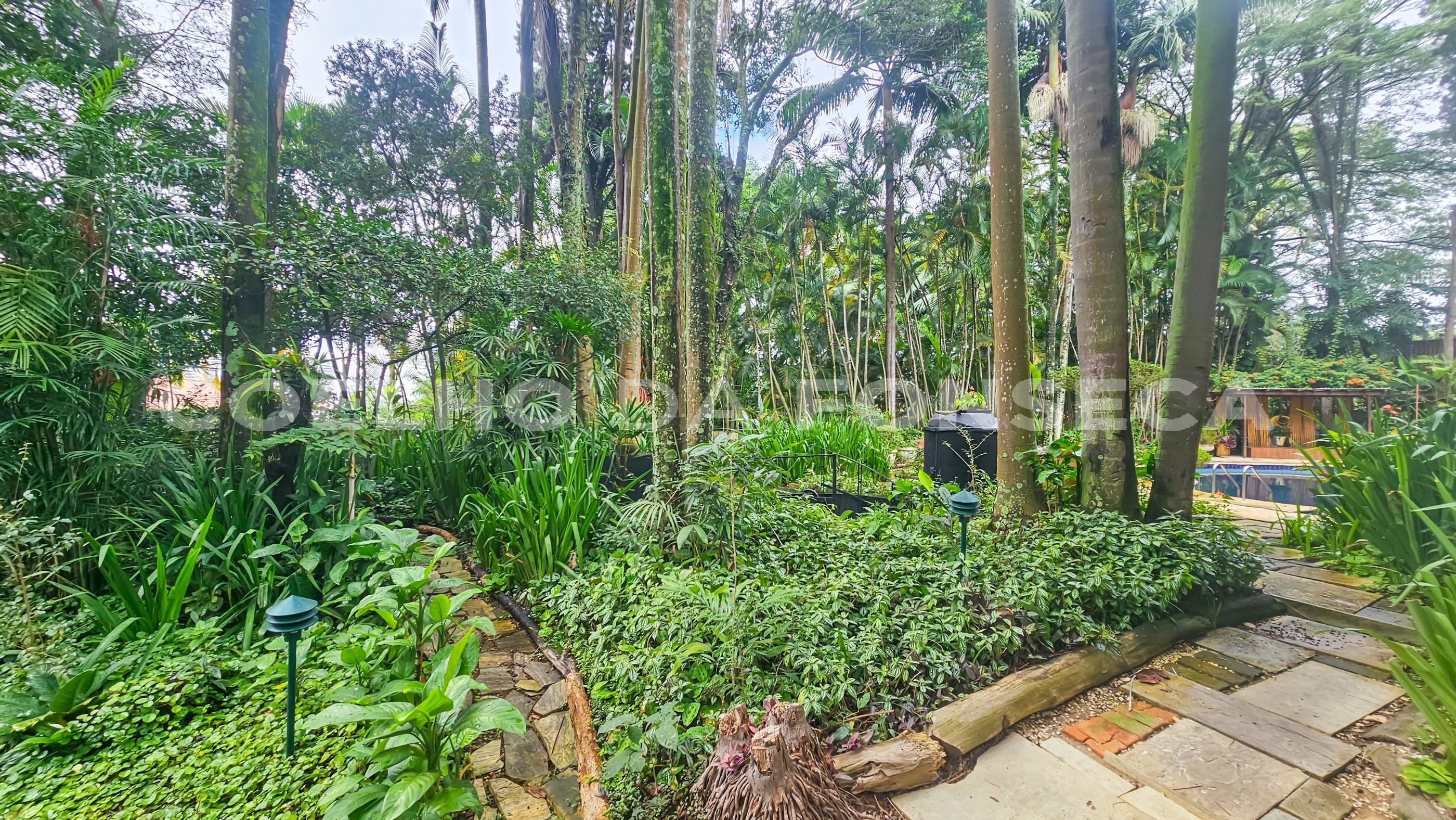 Jardim