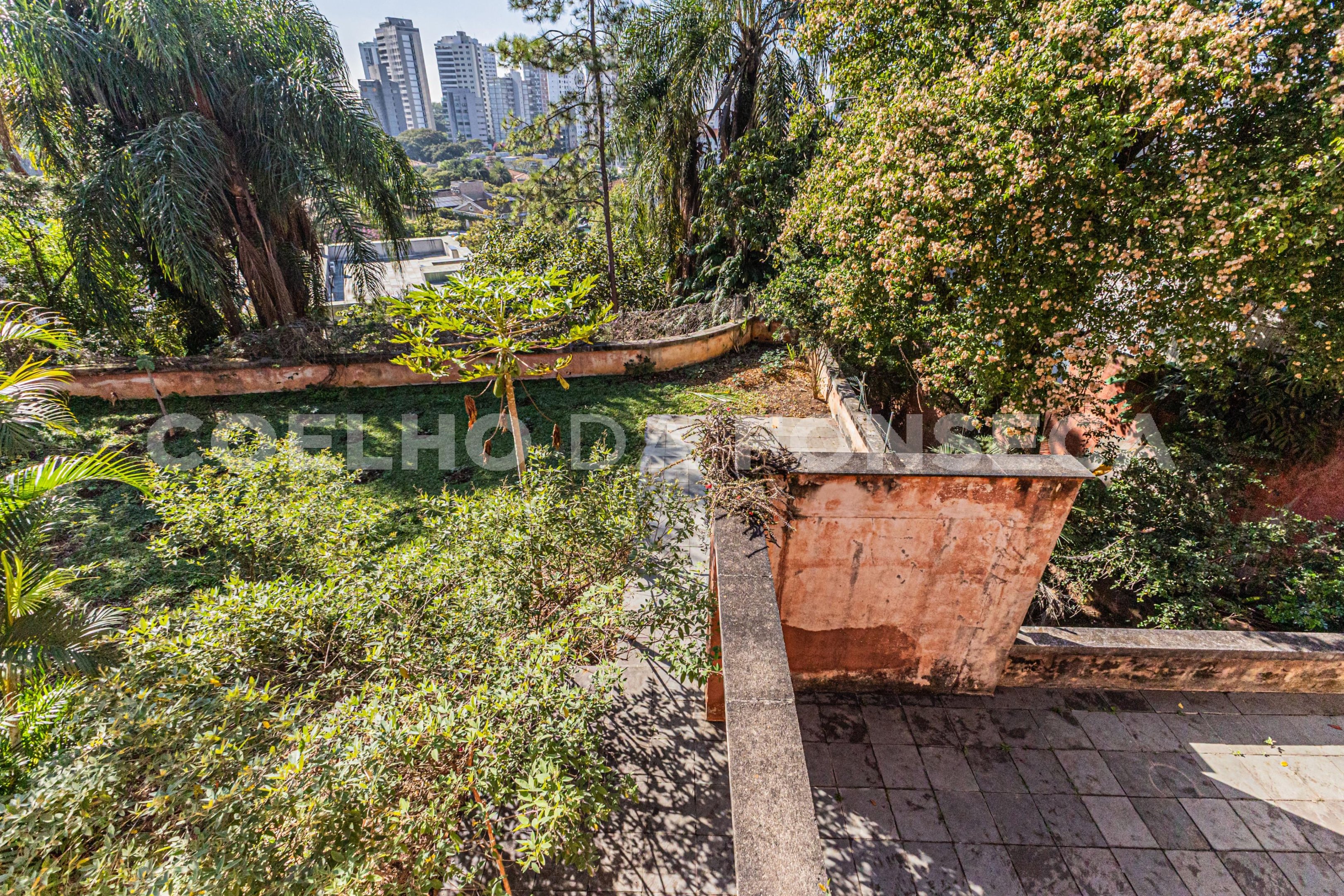 Jardim