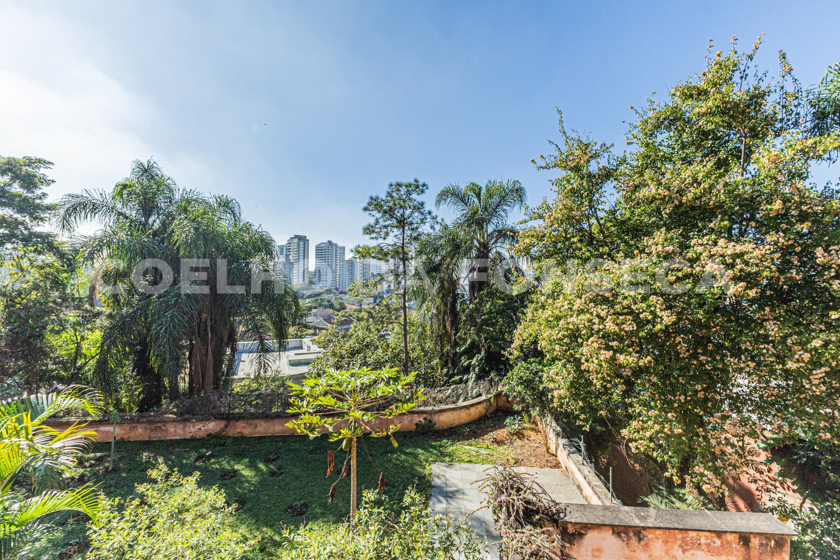 Jardim