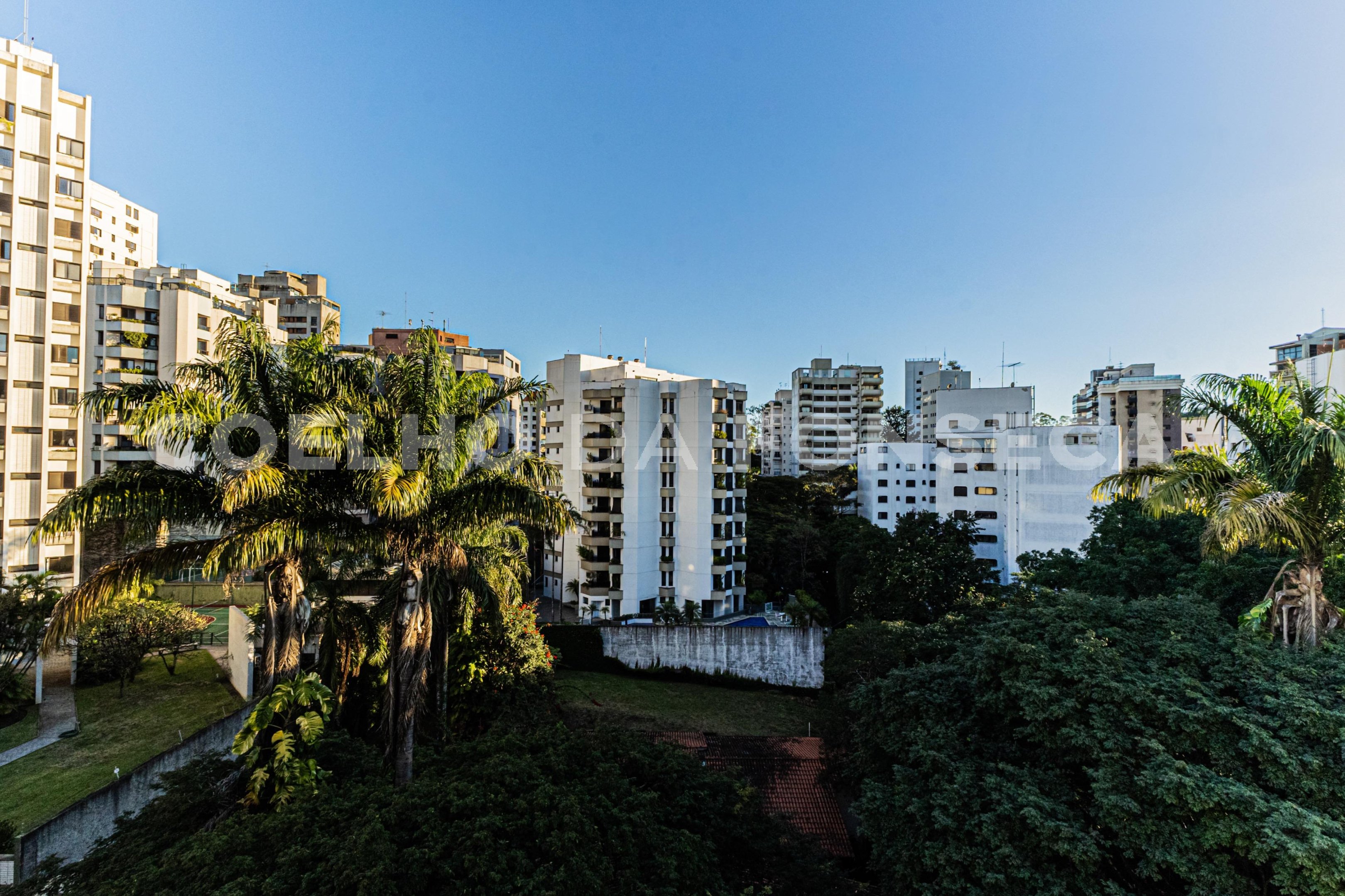 Vista