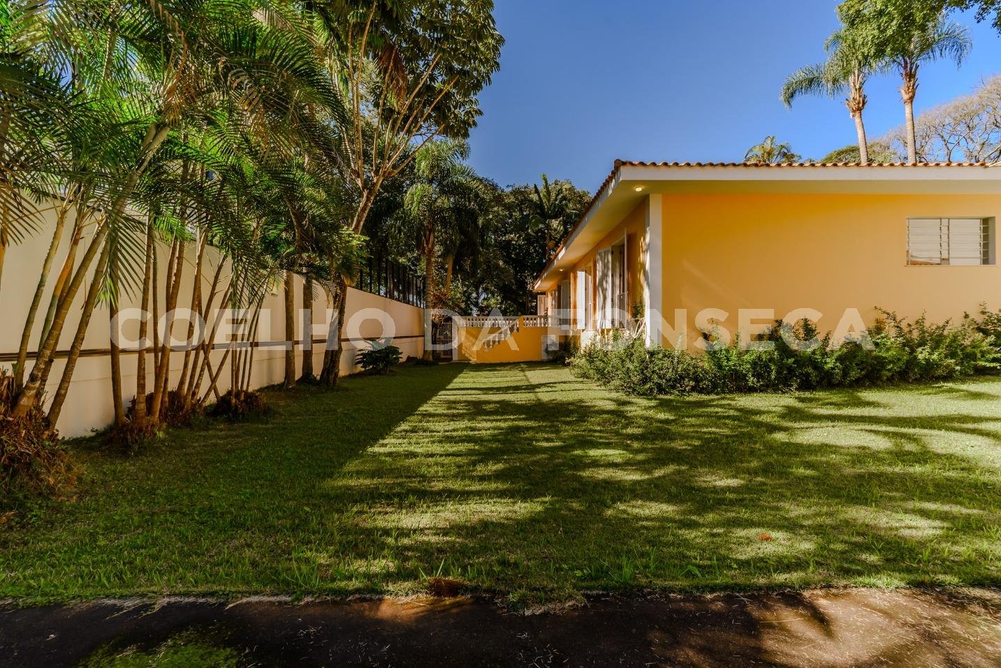 Jardim