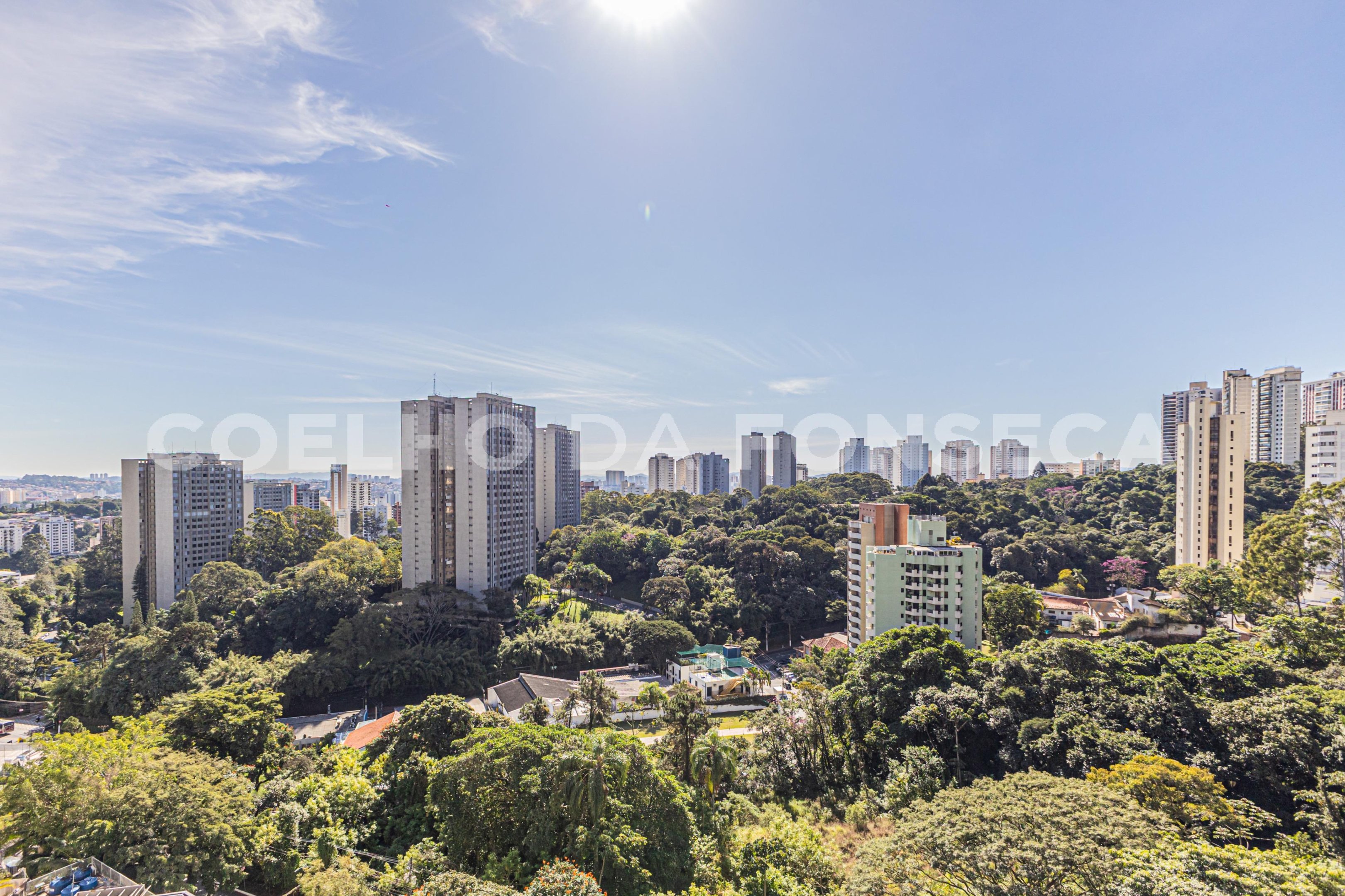 Vista