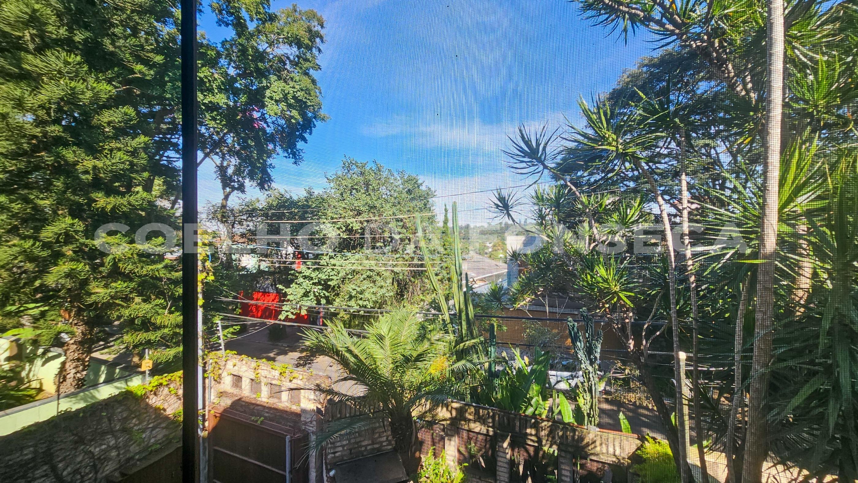 Vista
