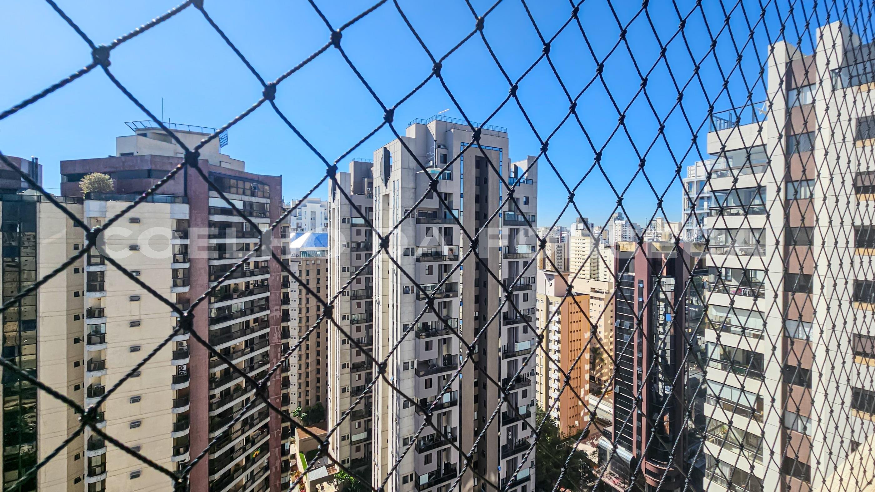 Vista