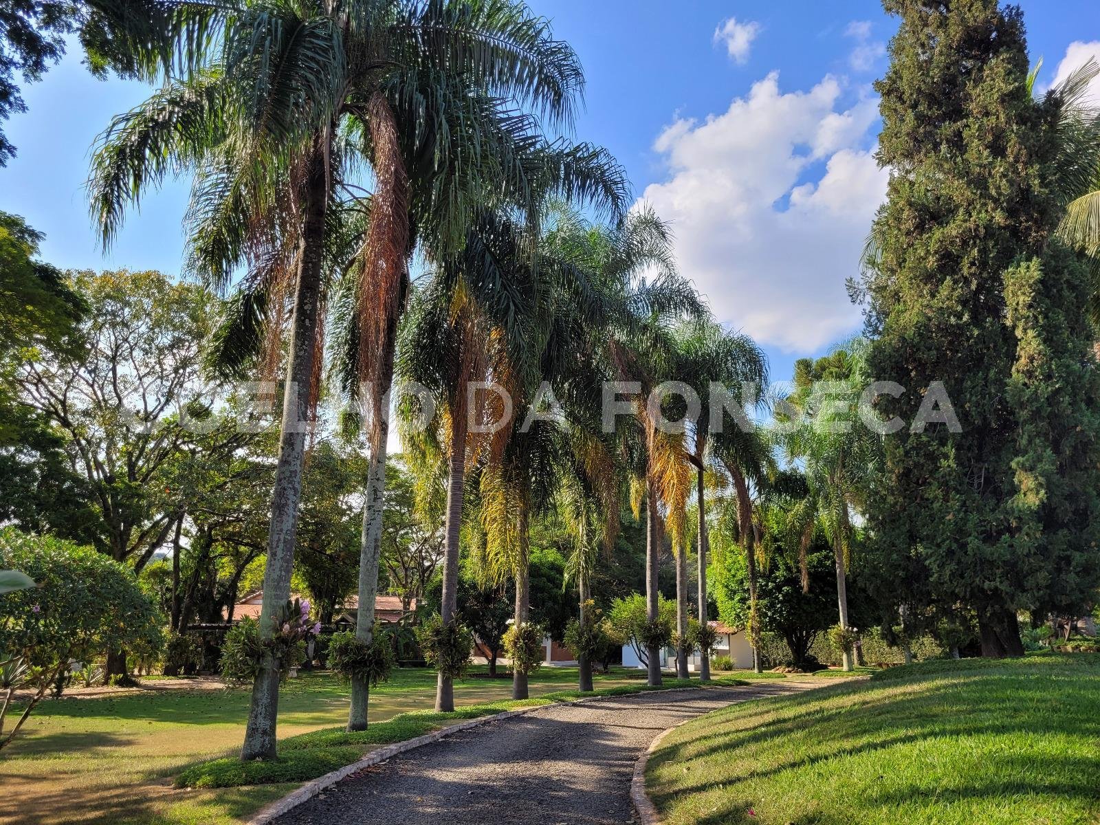 Entrada