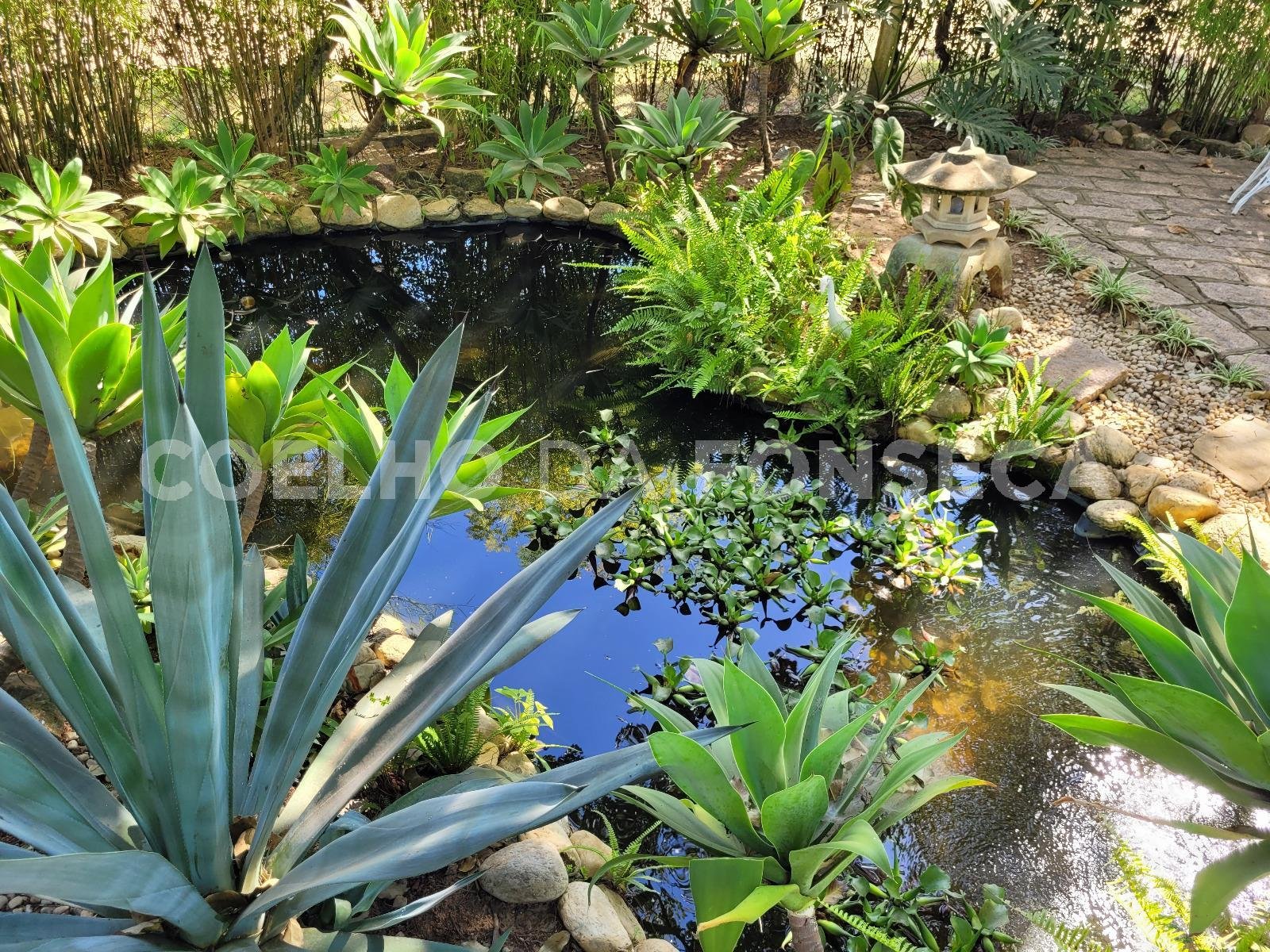 Lago