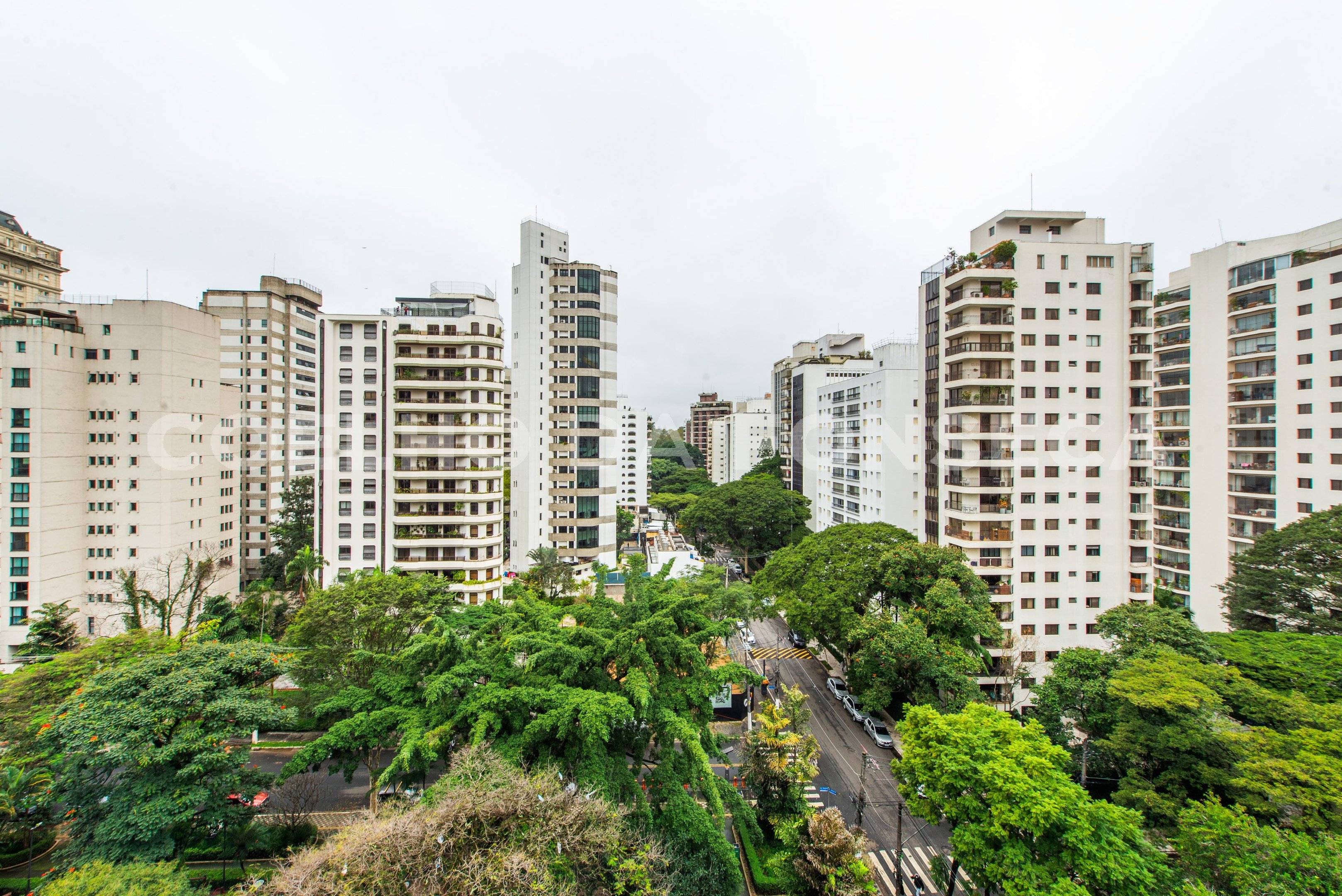 Vista