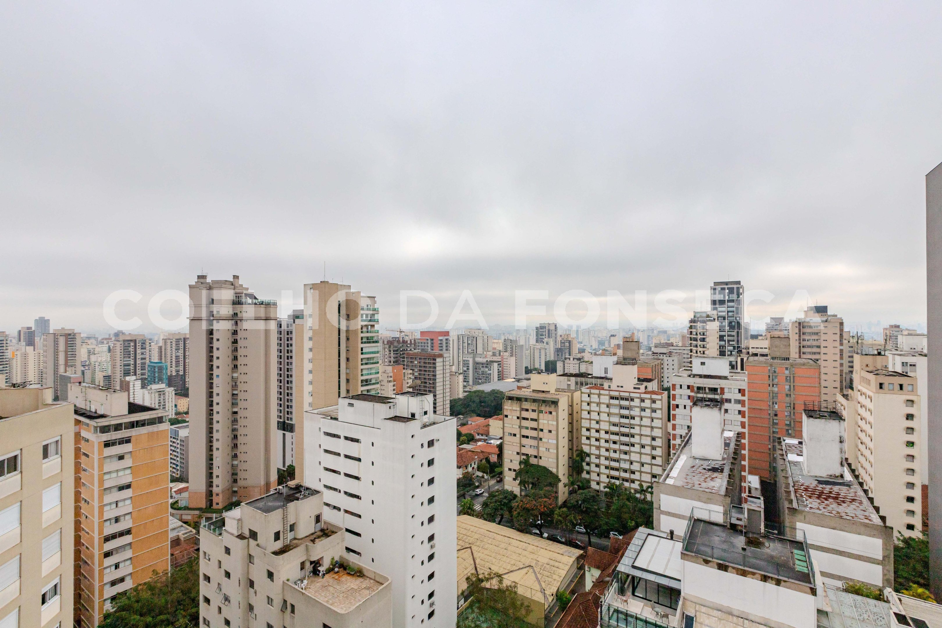 Vista