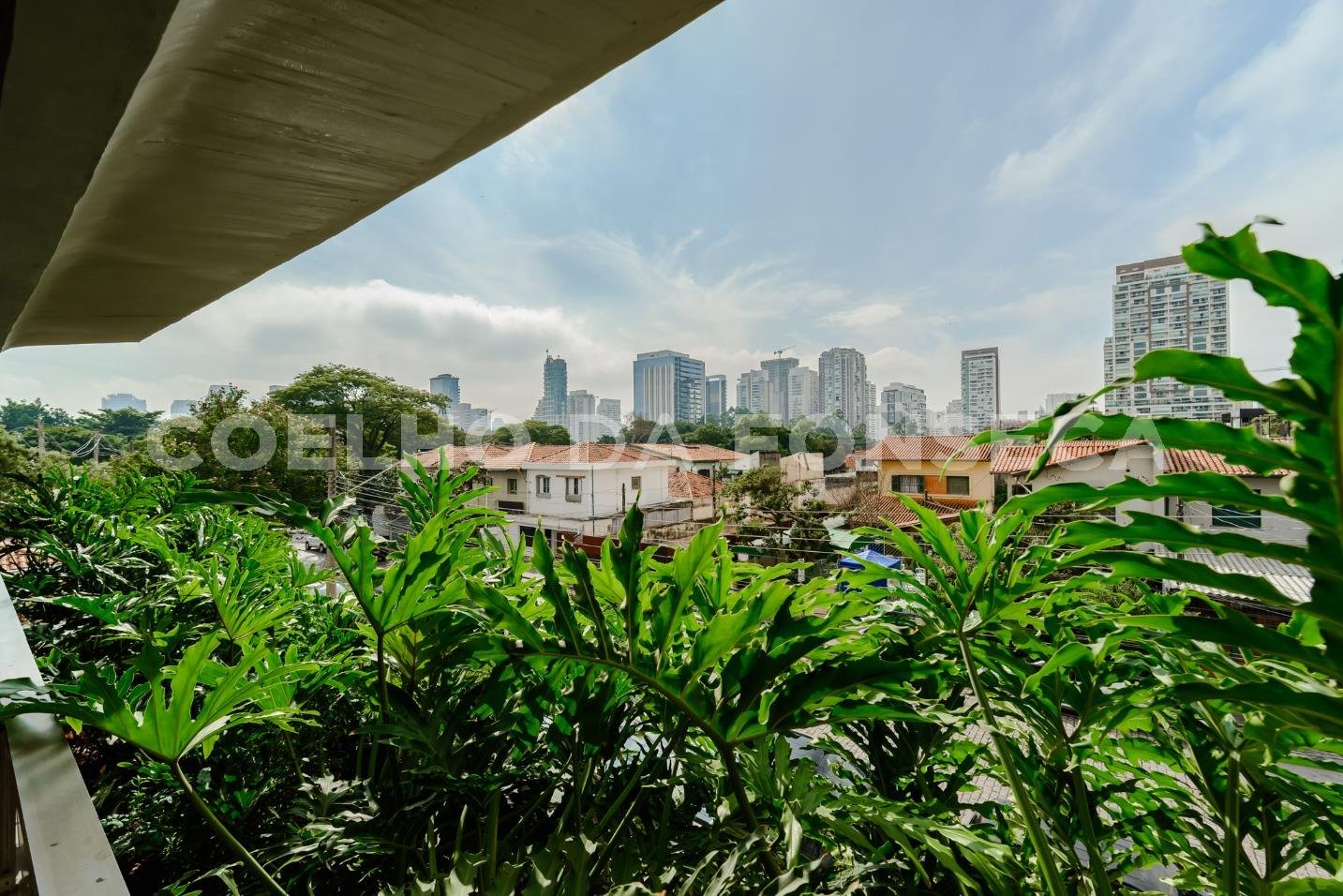 Vista