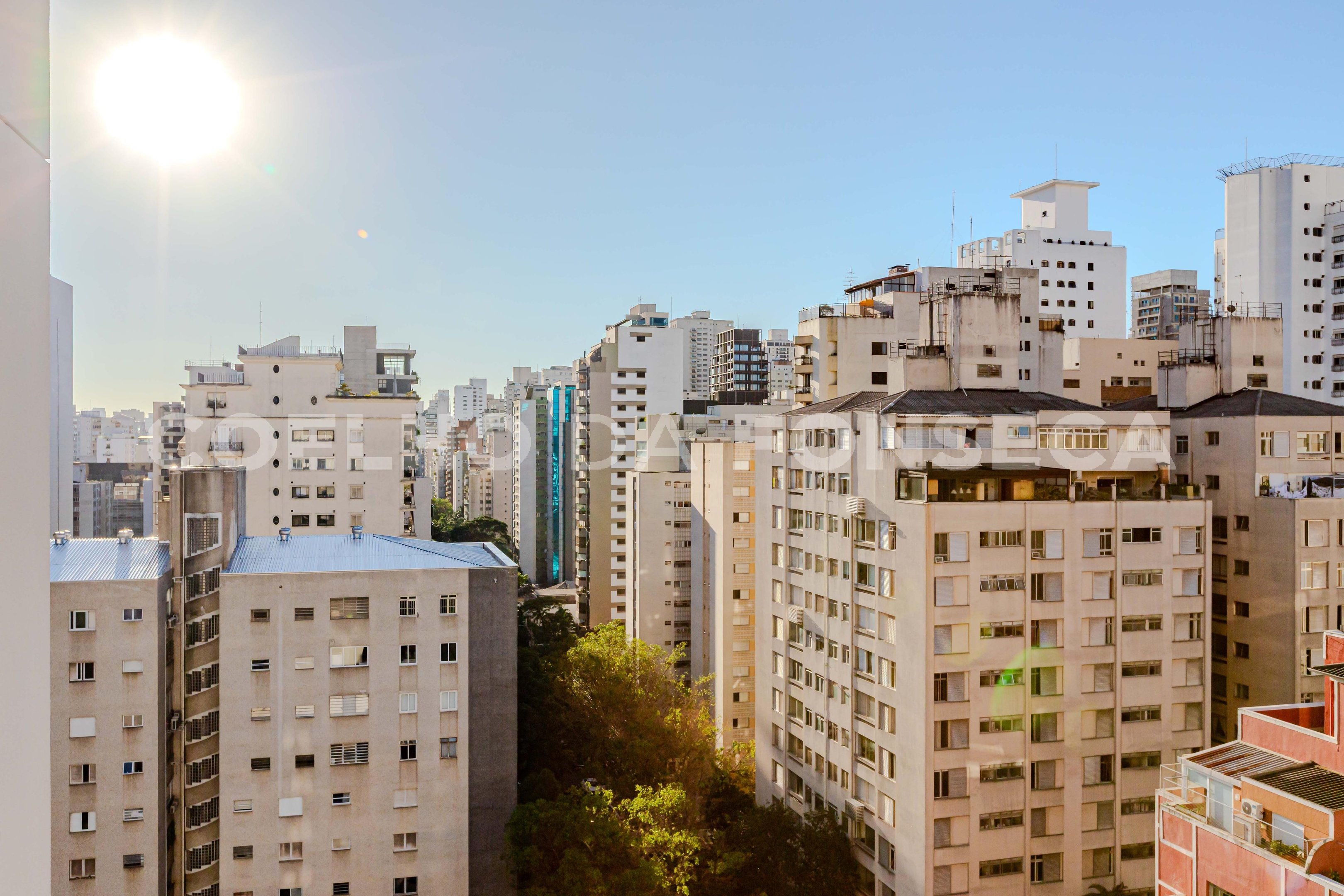 Vista