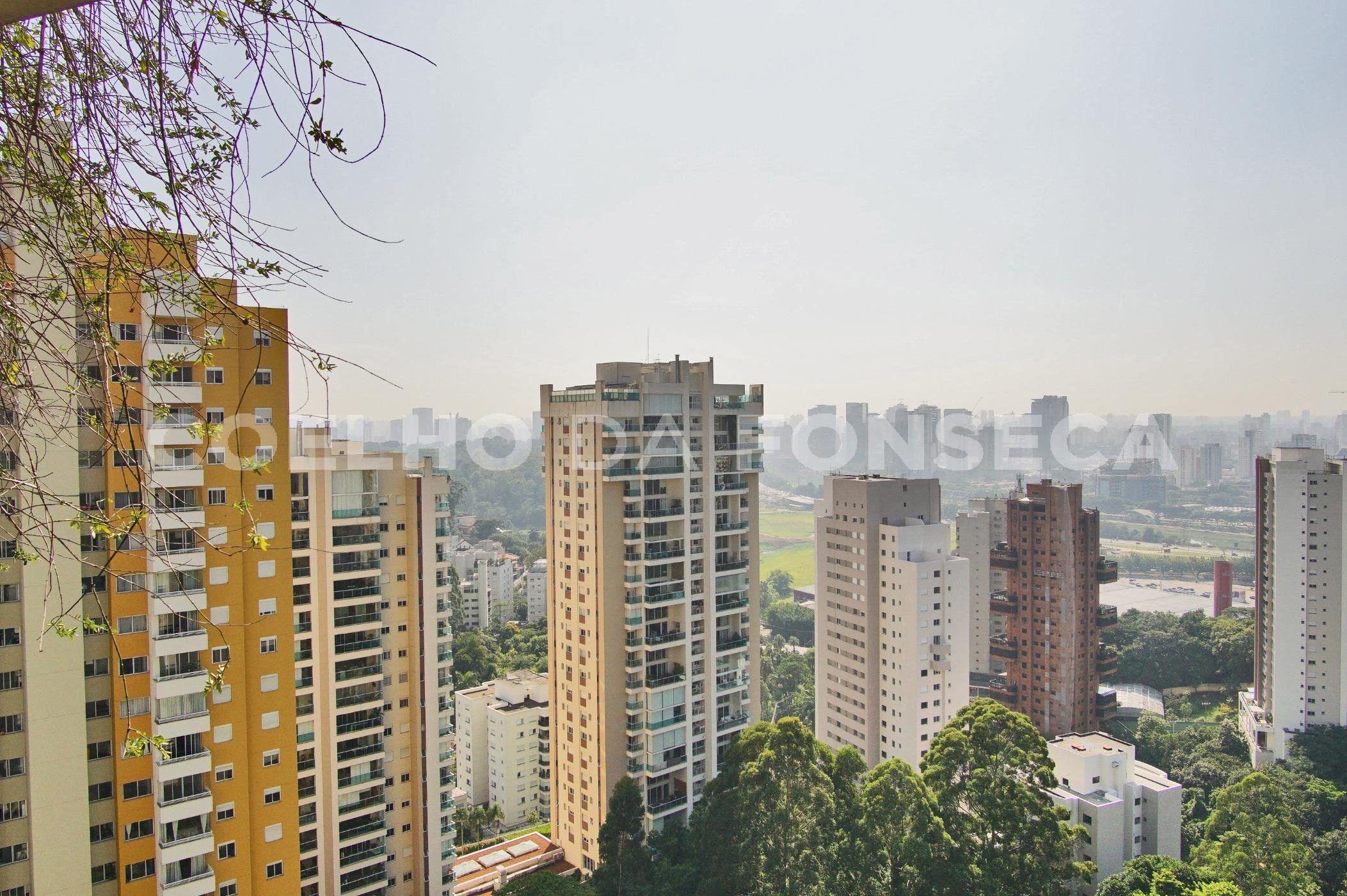 Vista