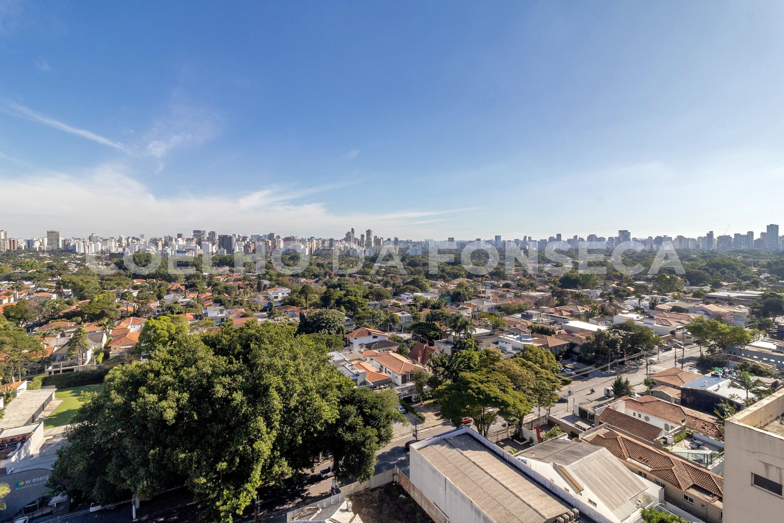 Vista