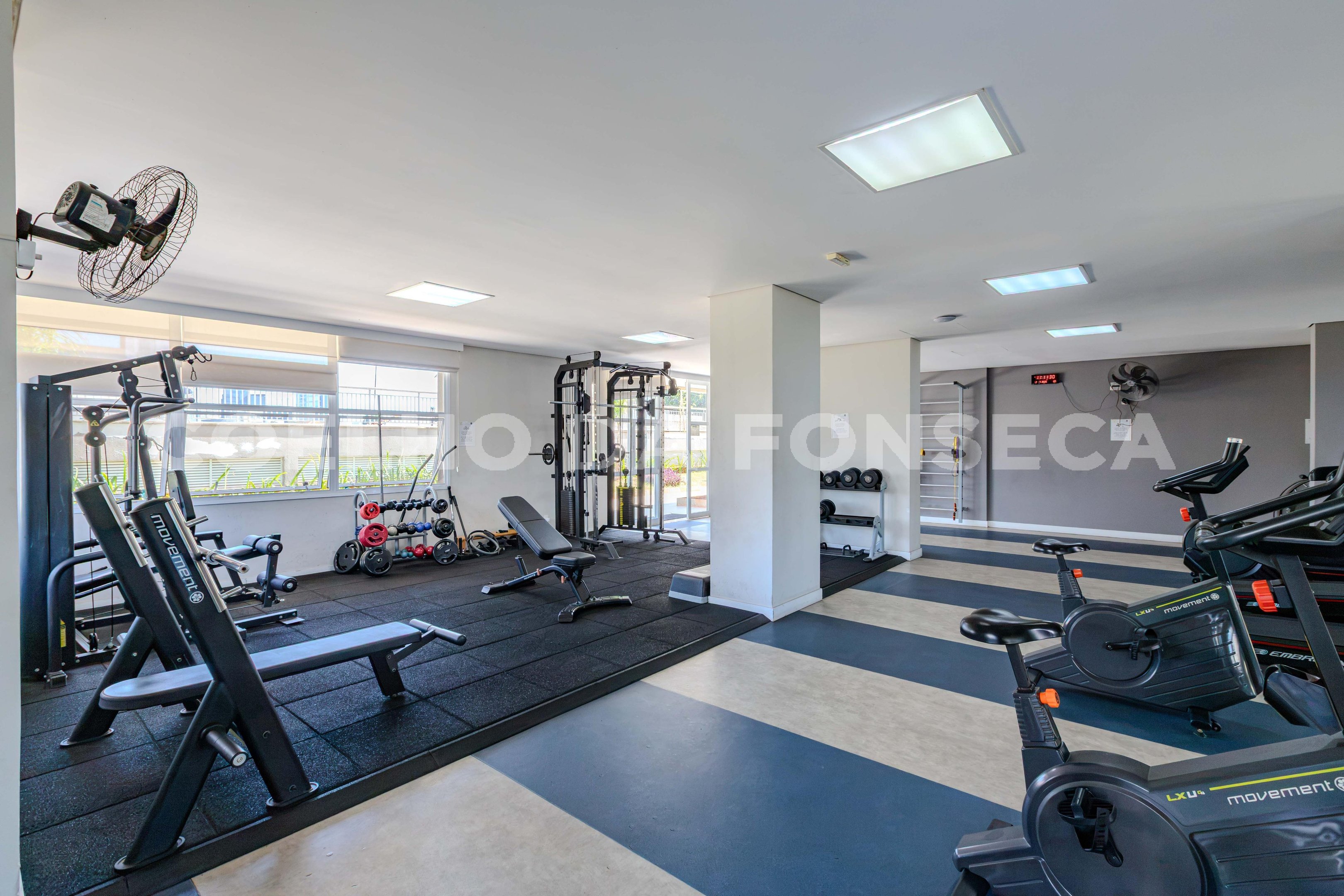 Fitness