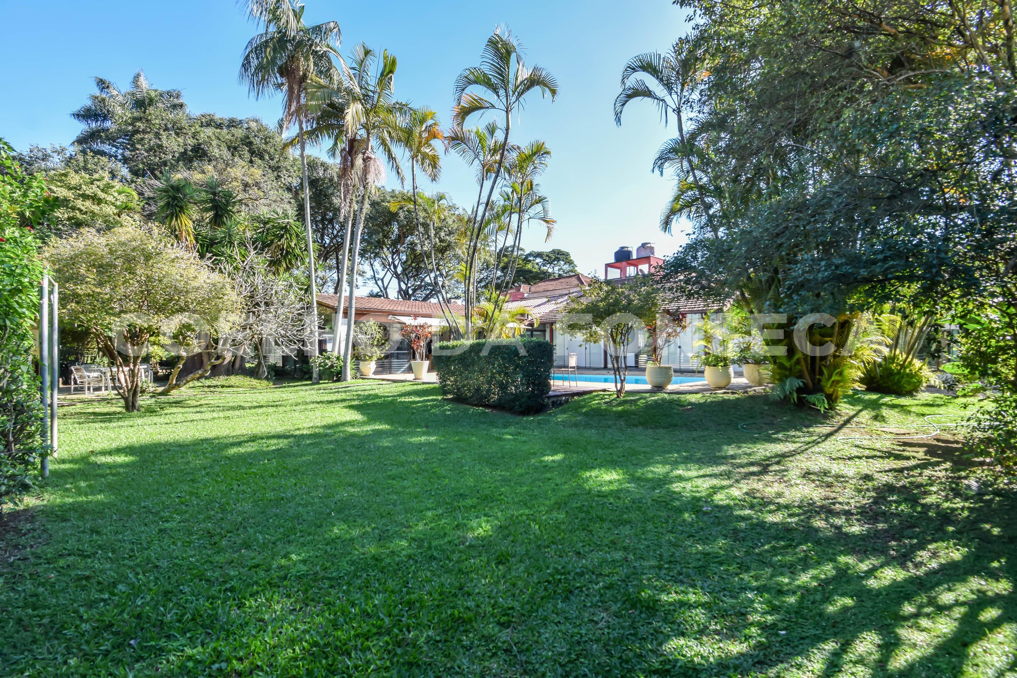 Jardim