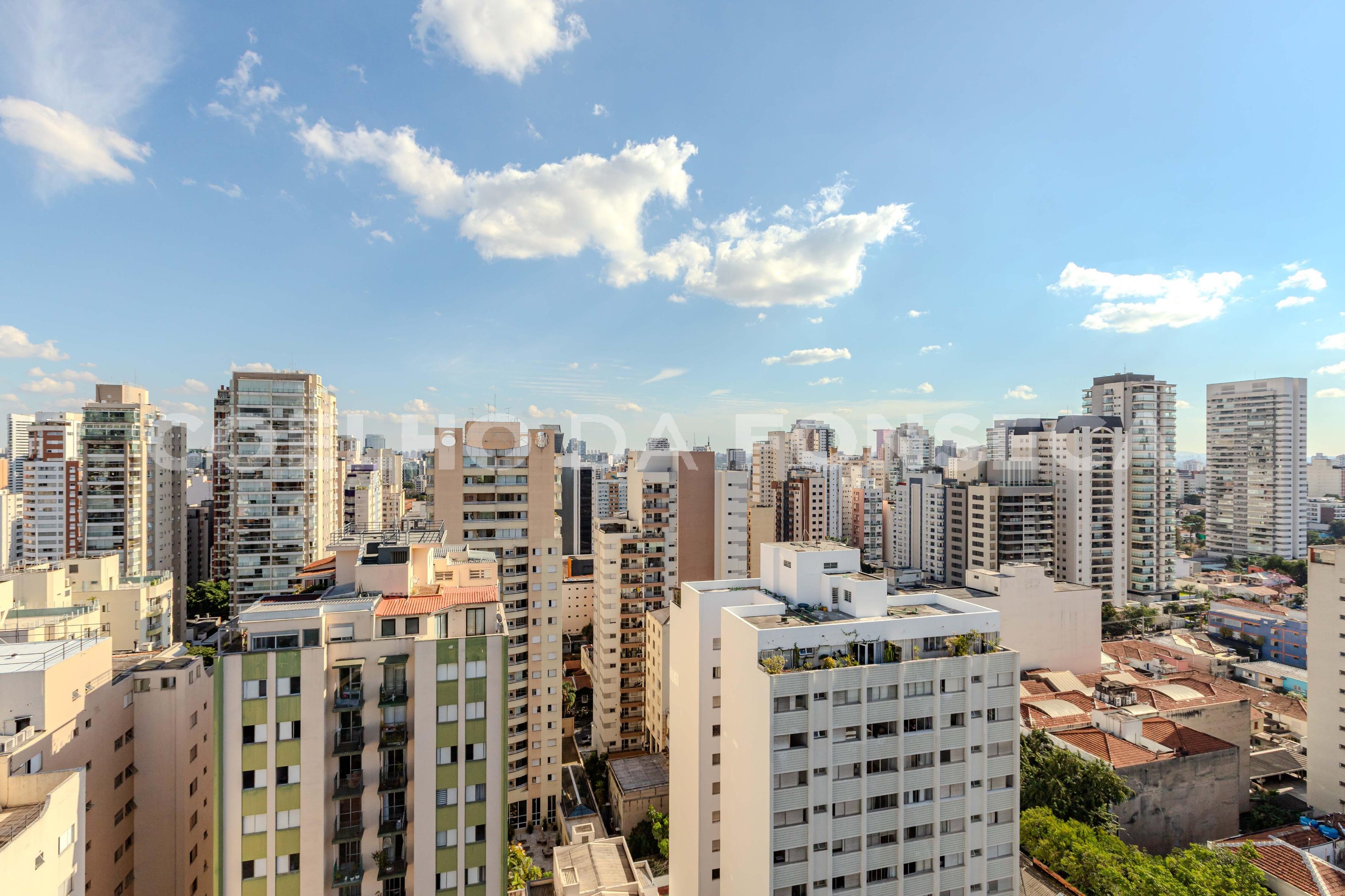 Vista
